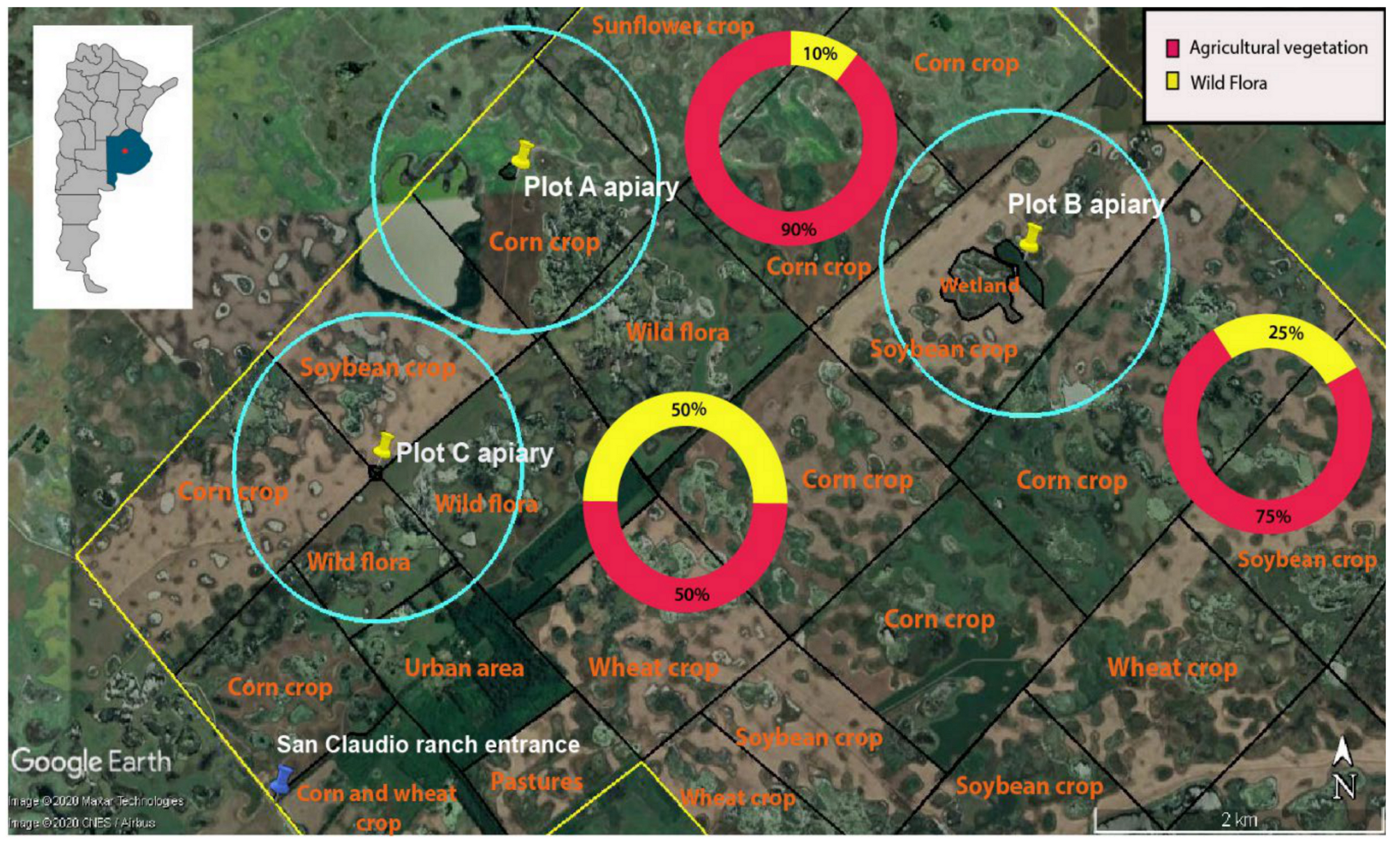 Insects 12 00163 g001