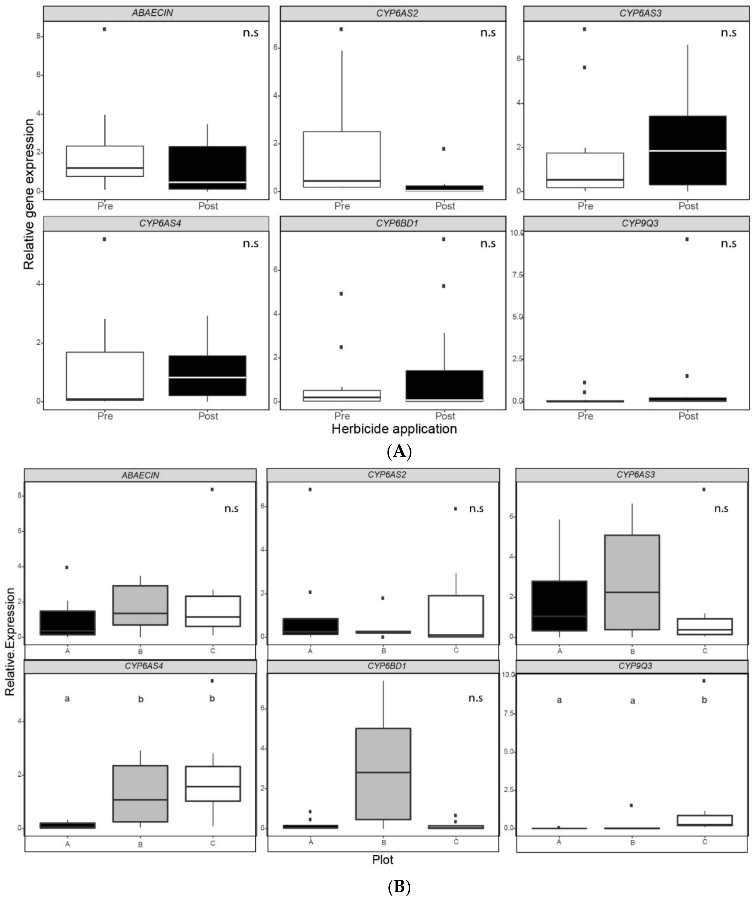 Insects 12 00163 g003