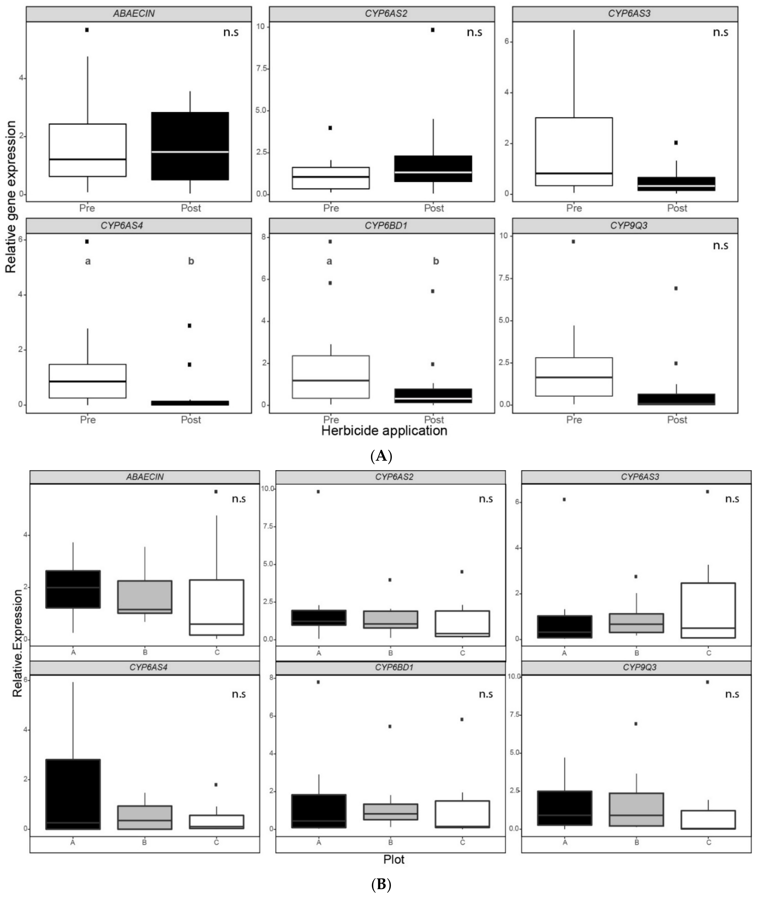 Insects 12 00163 g004