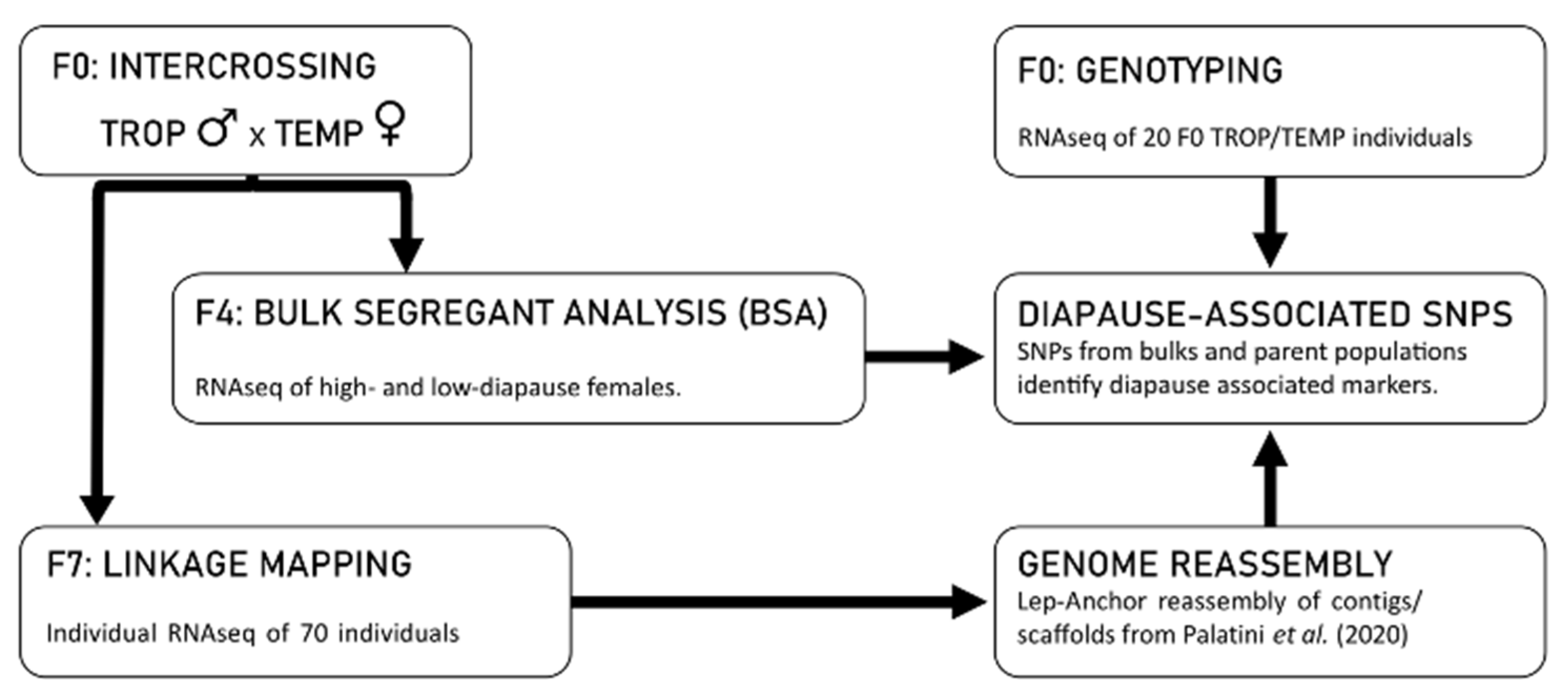 Insects 12 00167 g001