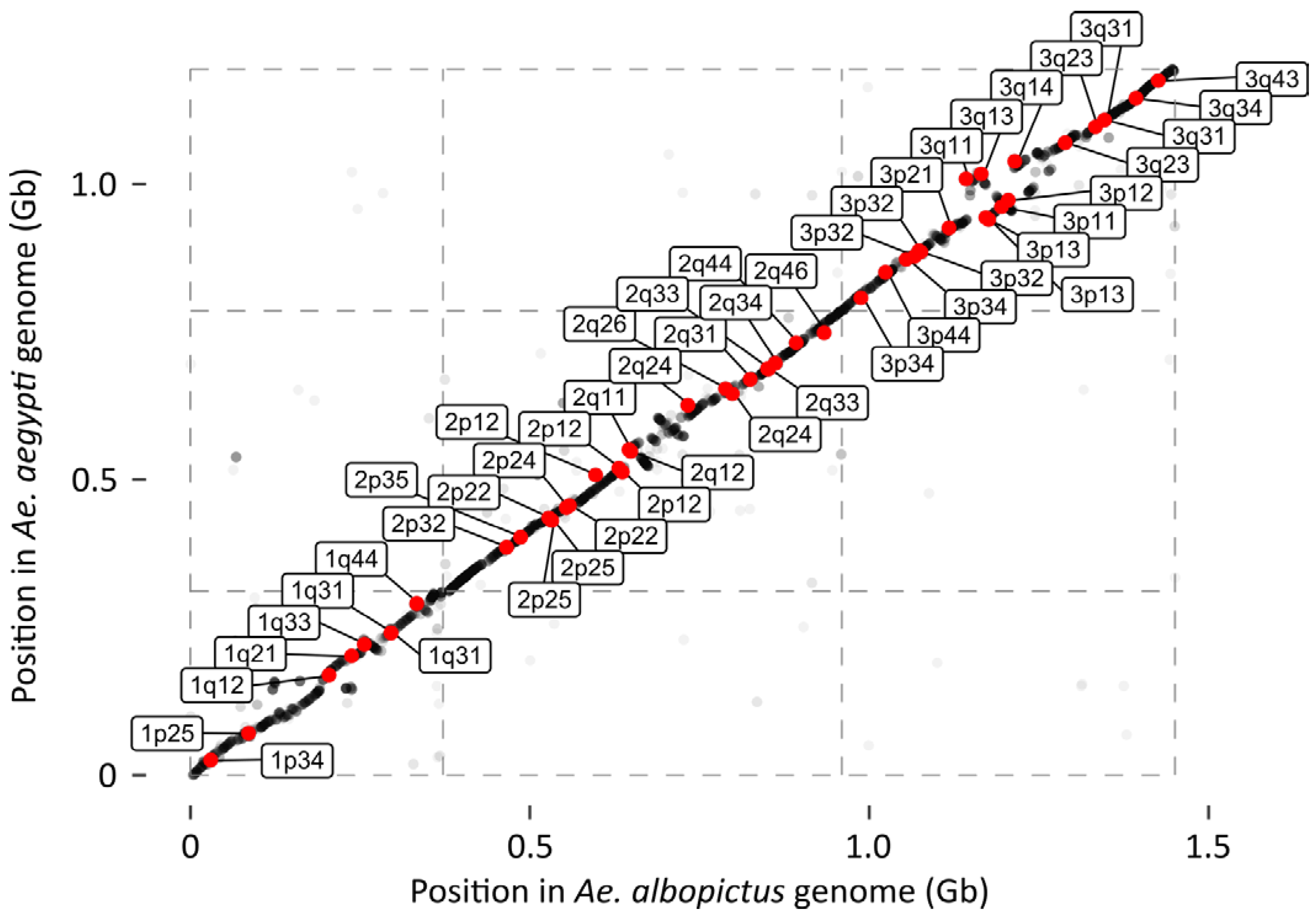 Insects 12 00167 g003