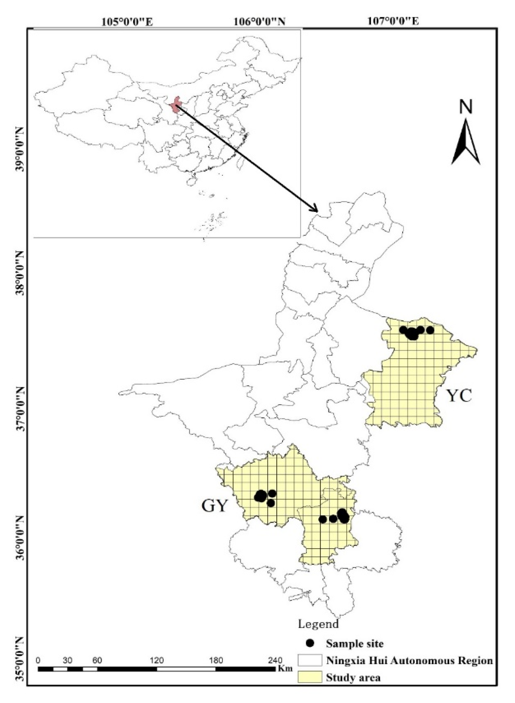 Insects 12 00168 g001