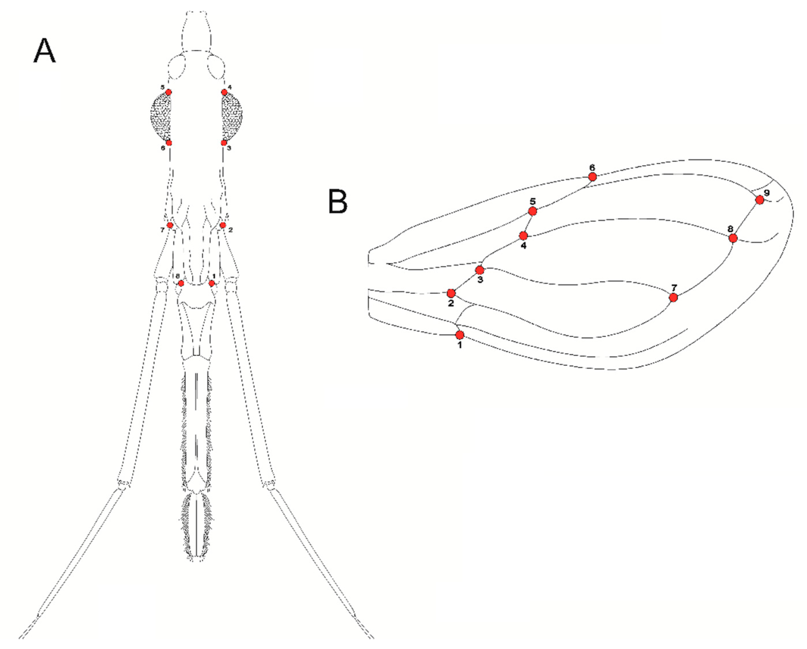 Insects 12 00185 g002
