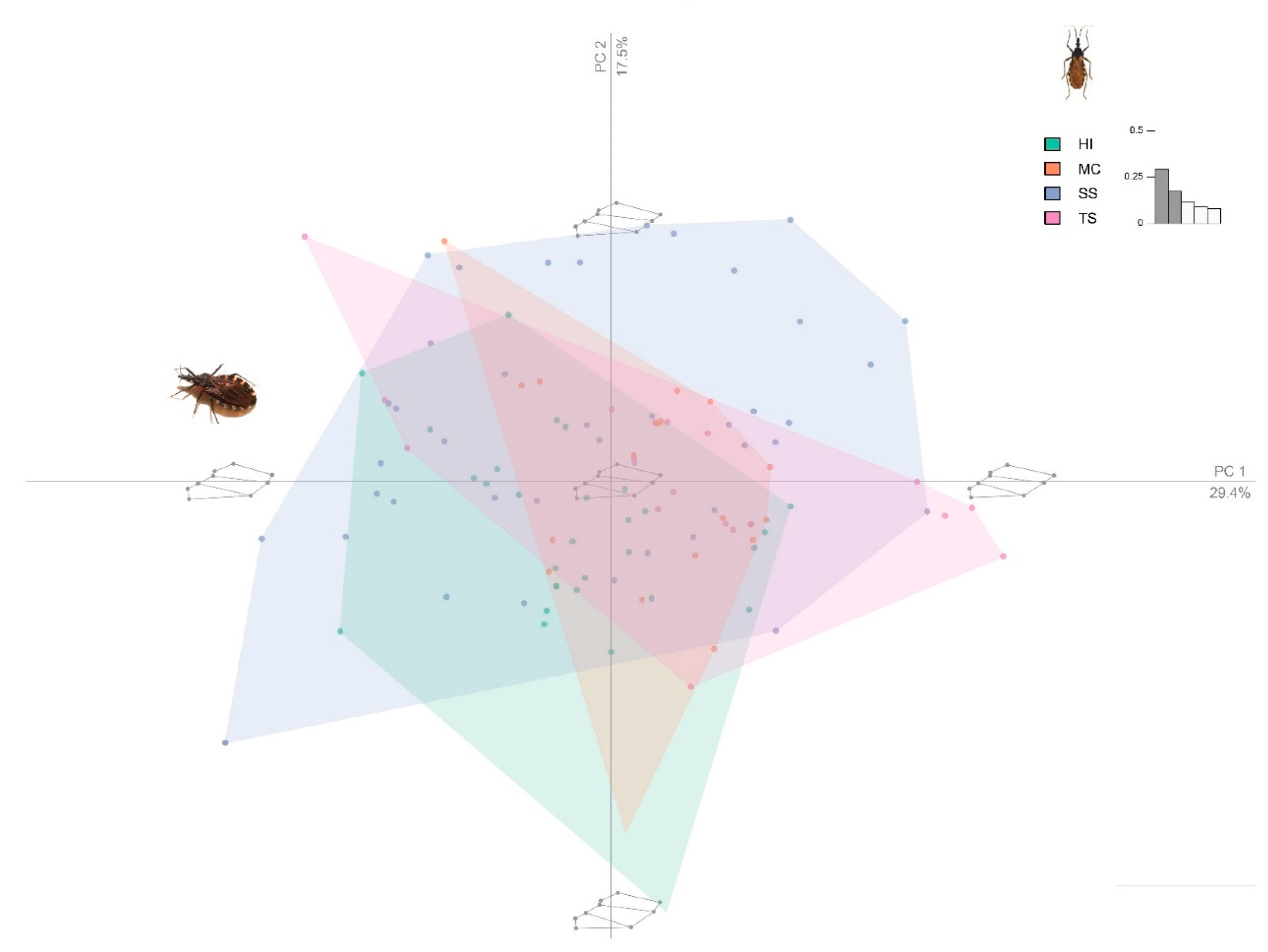 Insects 12 00185 g004