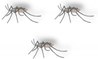 Insects 12 00186 i006