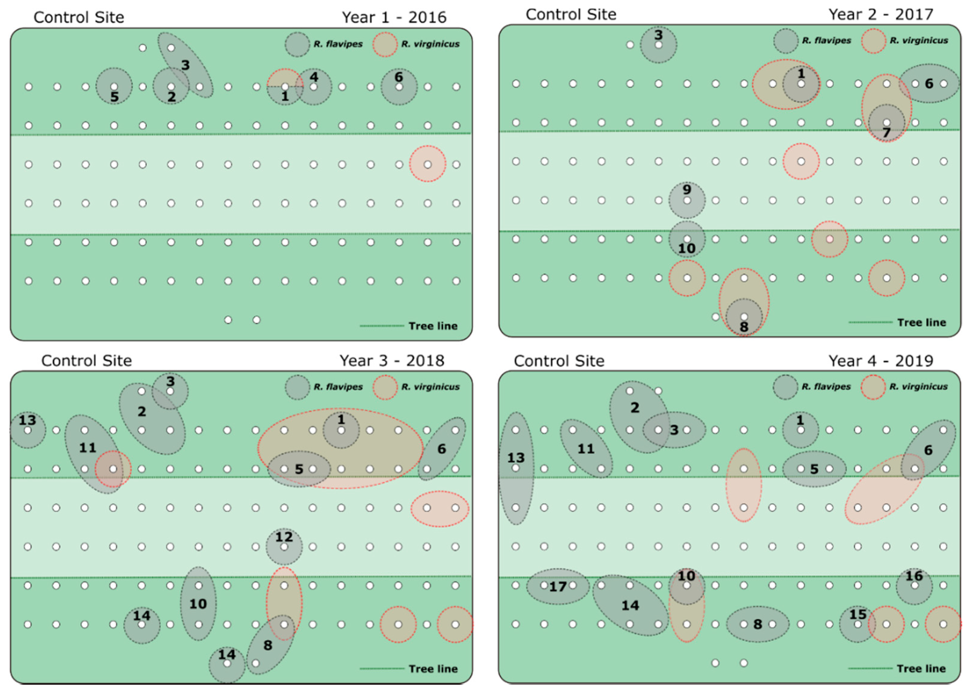 Insects 12 00192 g001