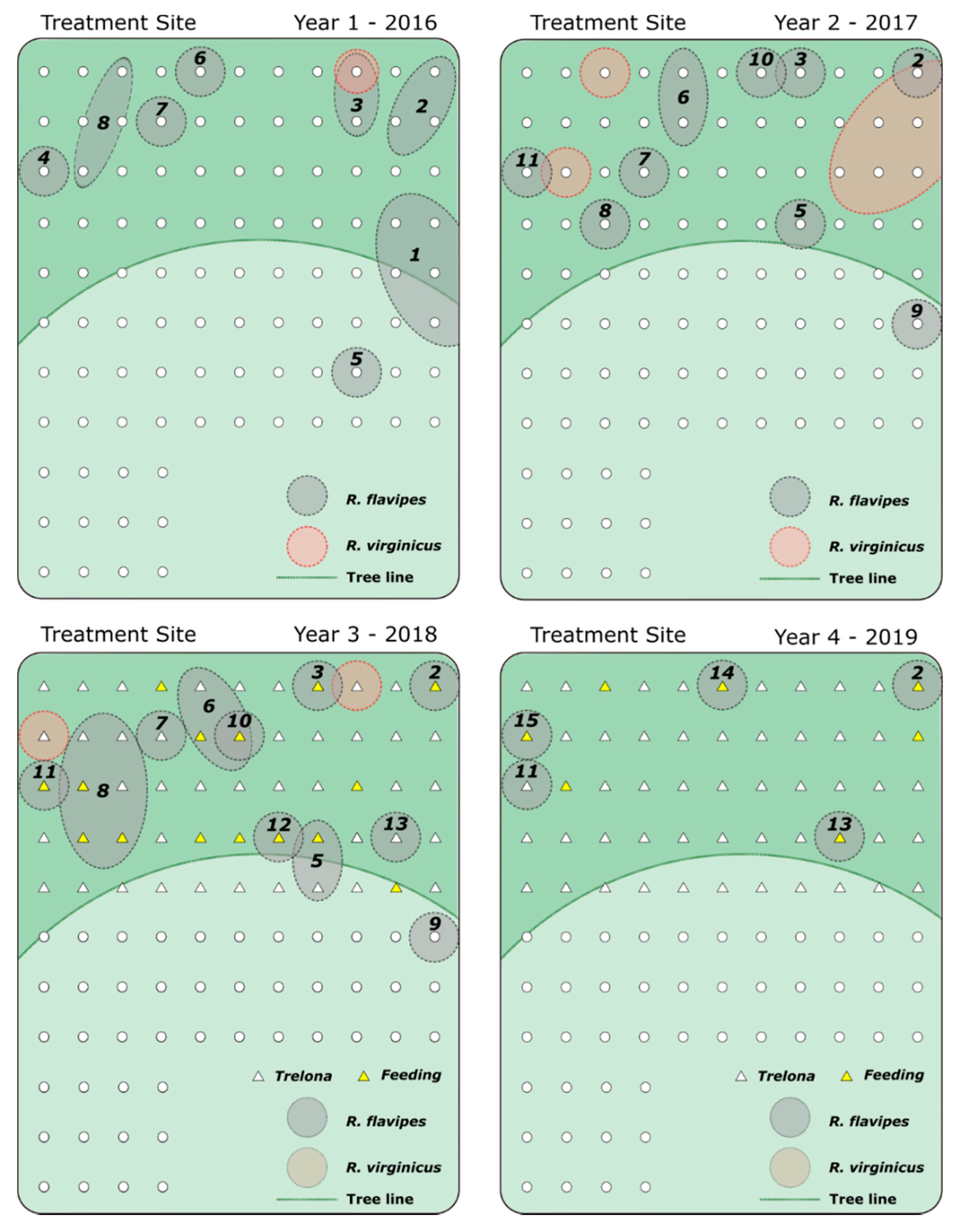 Insects 12 00192 g002