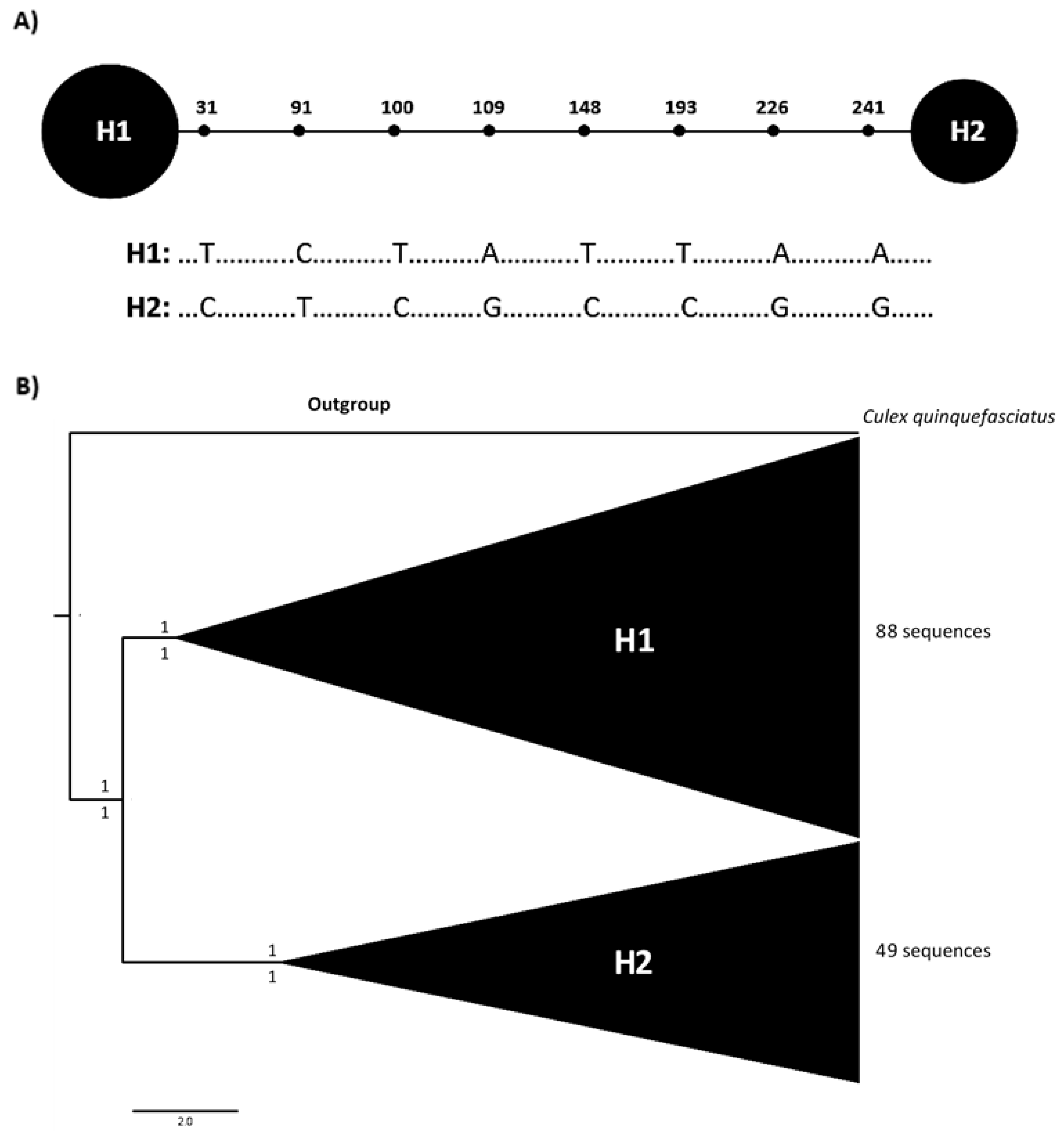Insects 12 00200 g001