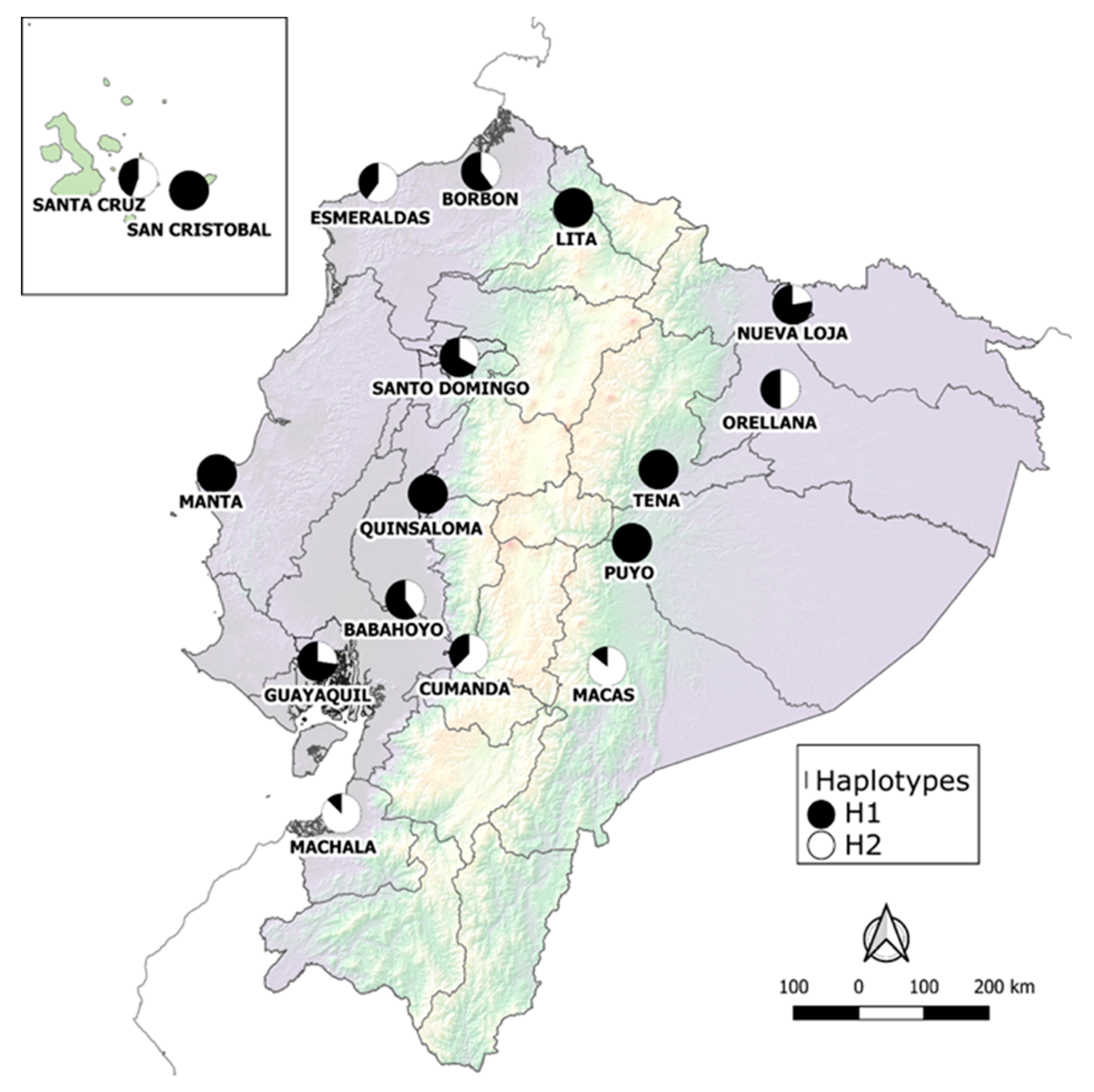 Insects 12 00200 g002