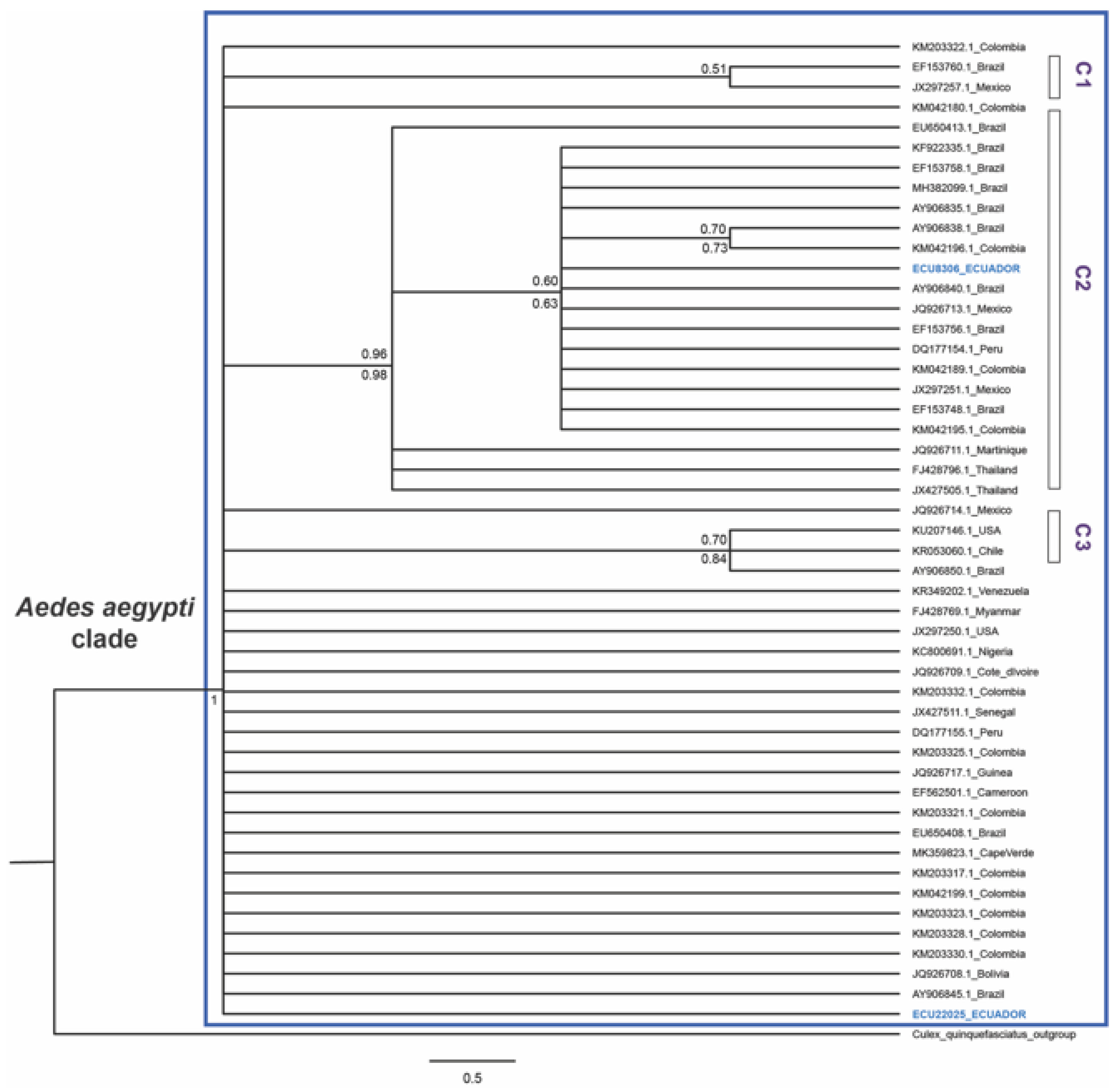Insects 12 00200 g003