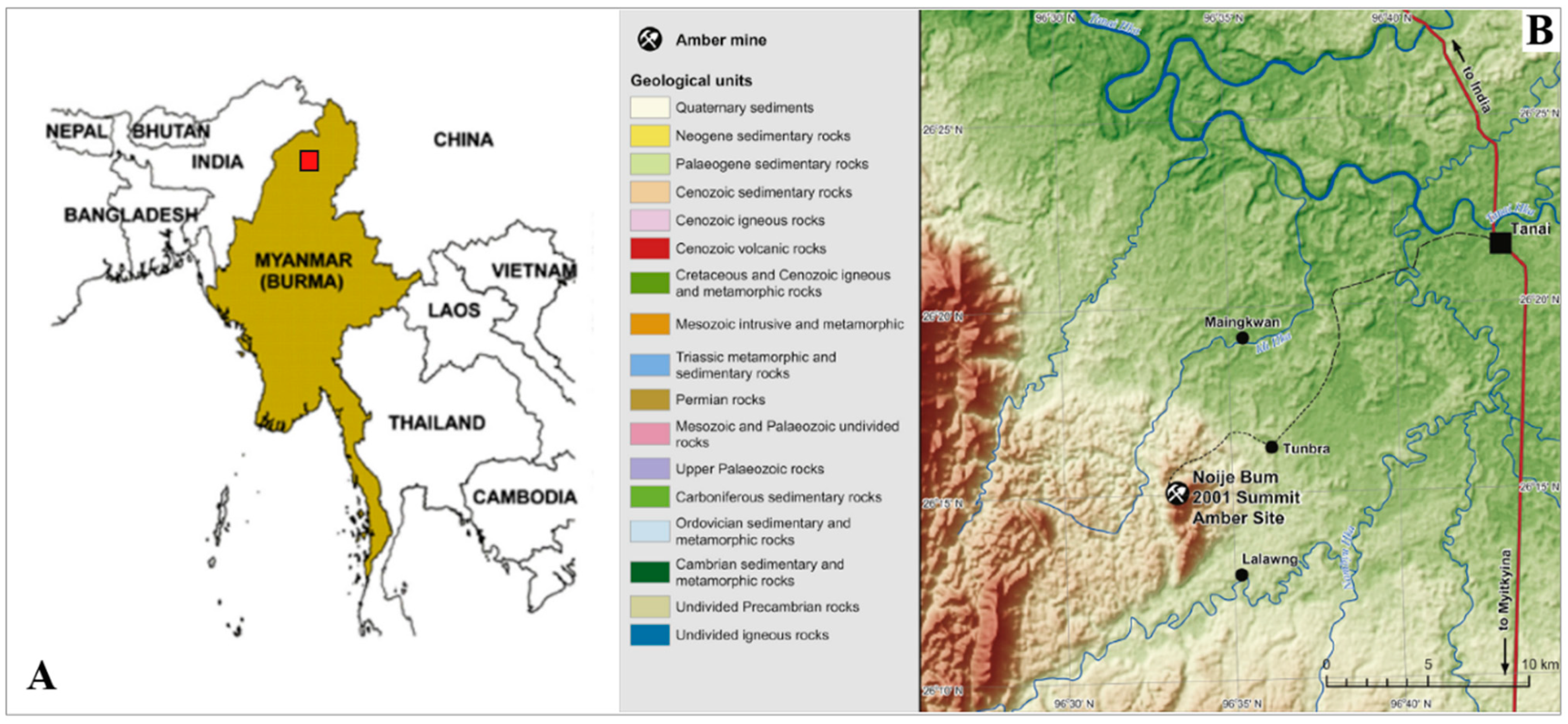 Insects 12 00206 g001