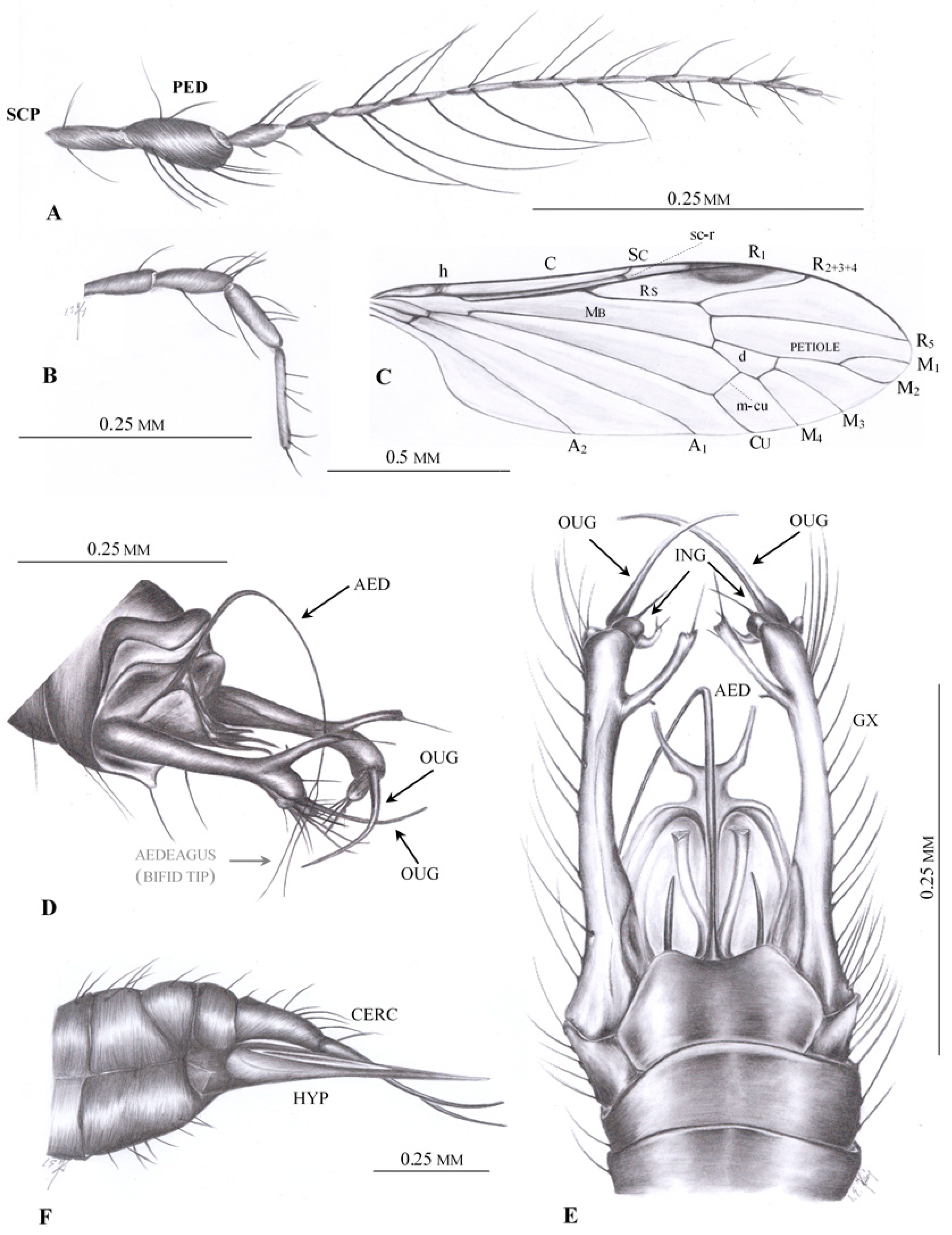 Insects 12 00206 g002