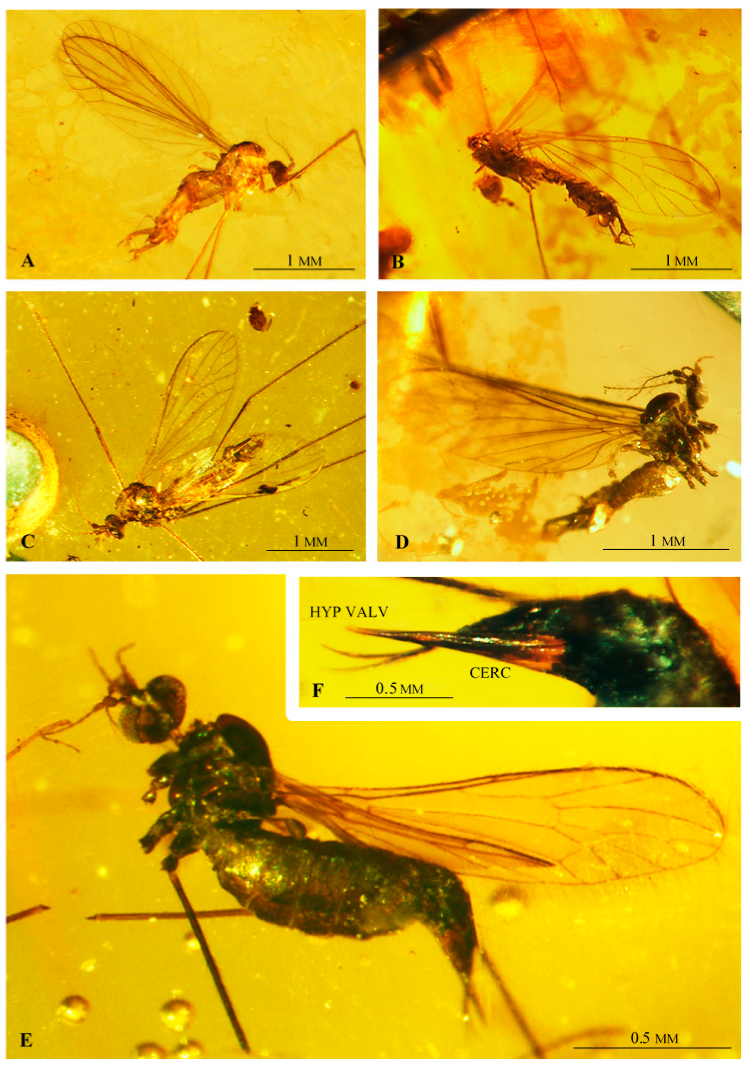 Insects 12 00206 g005