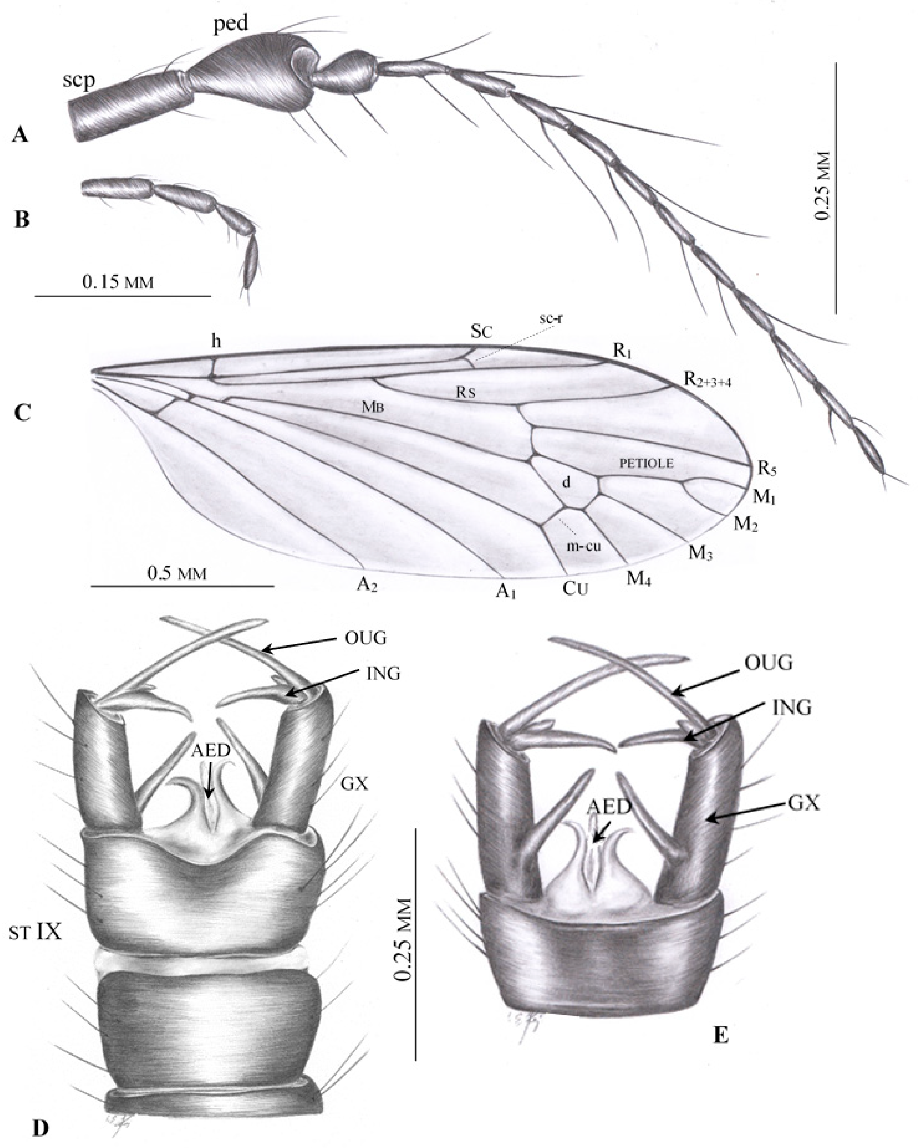 Insects 12 00206 g006