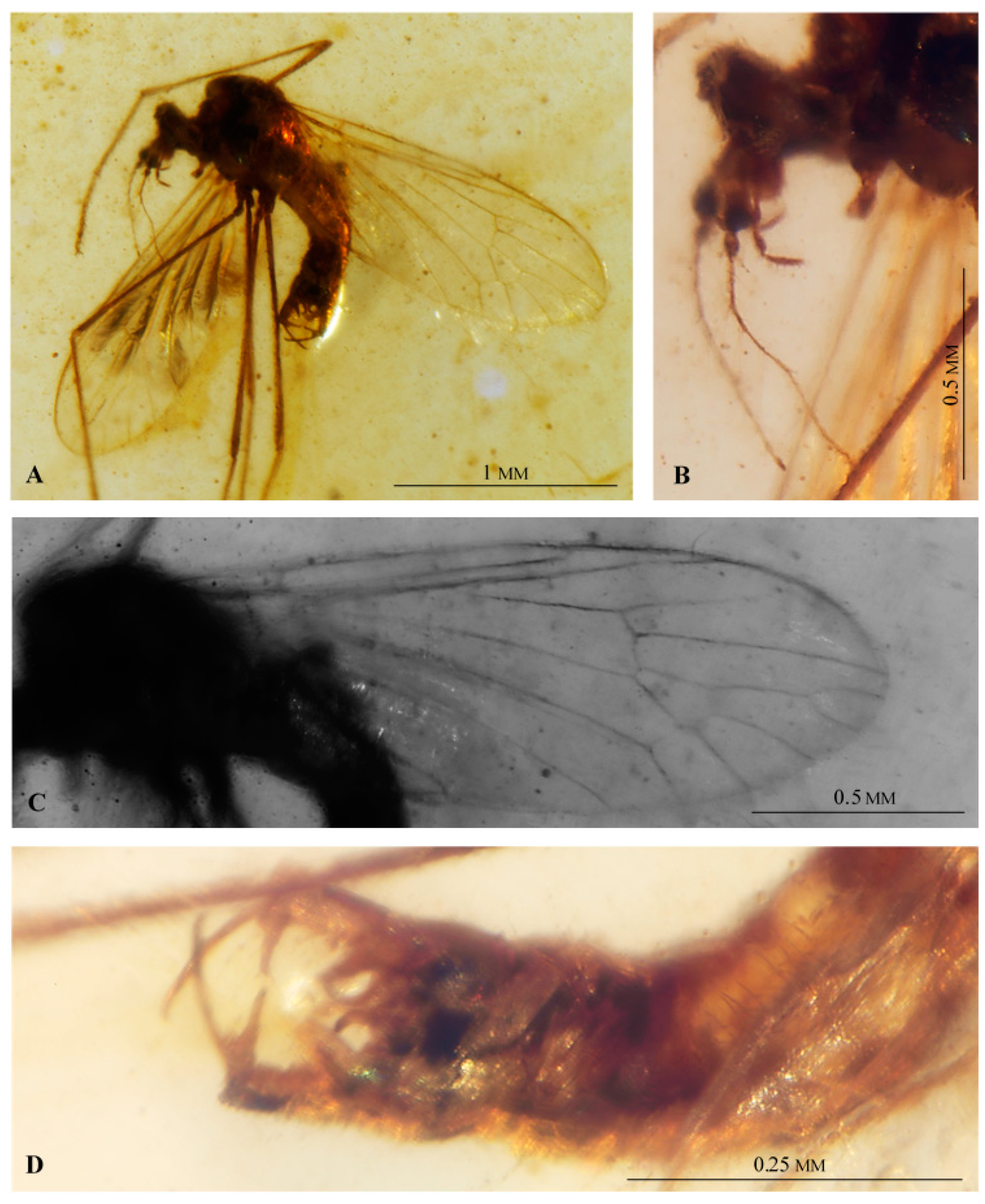 Insects 12 00206 g007