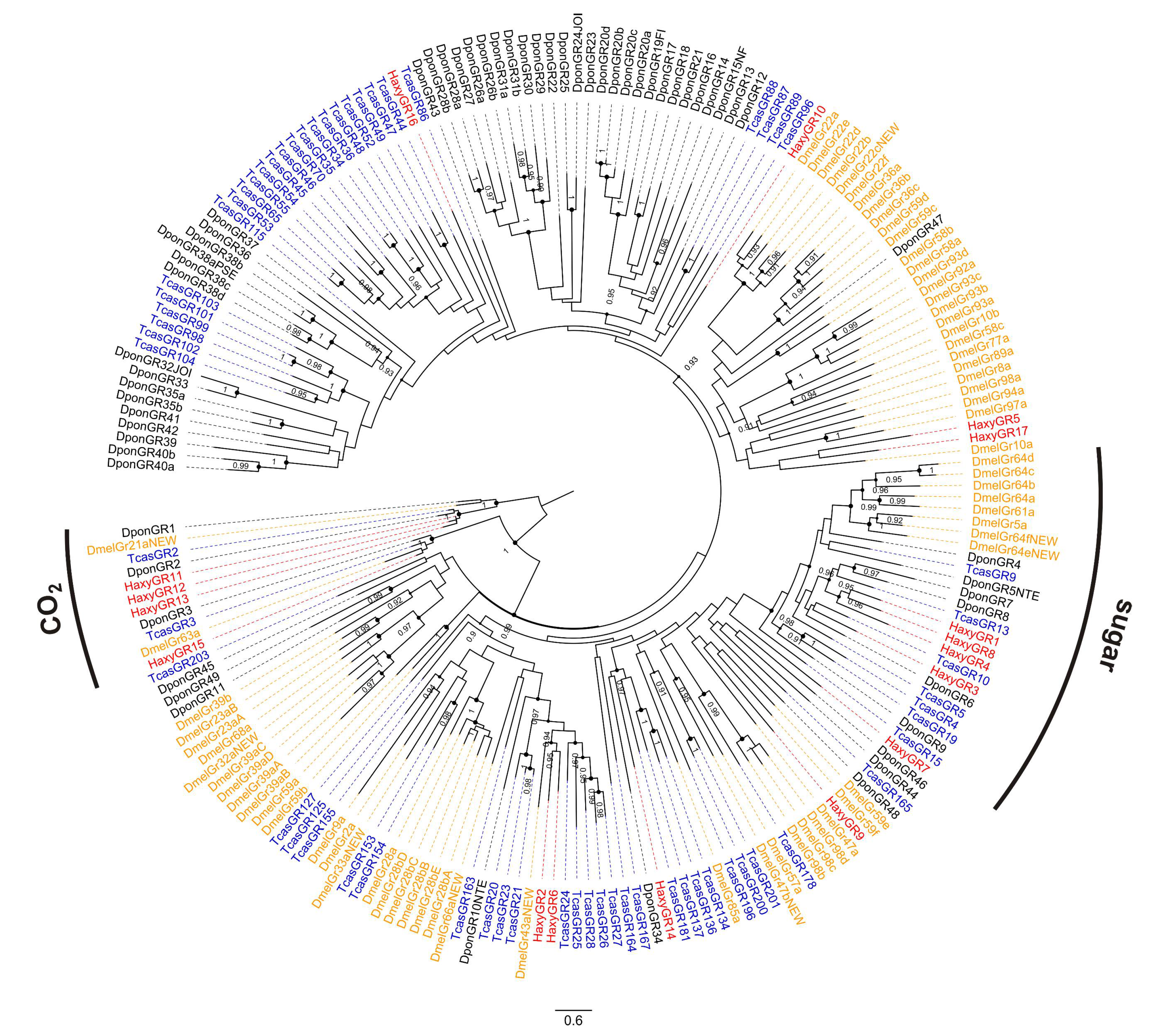 Insects 12 00209 g002