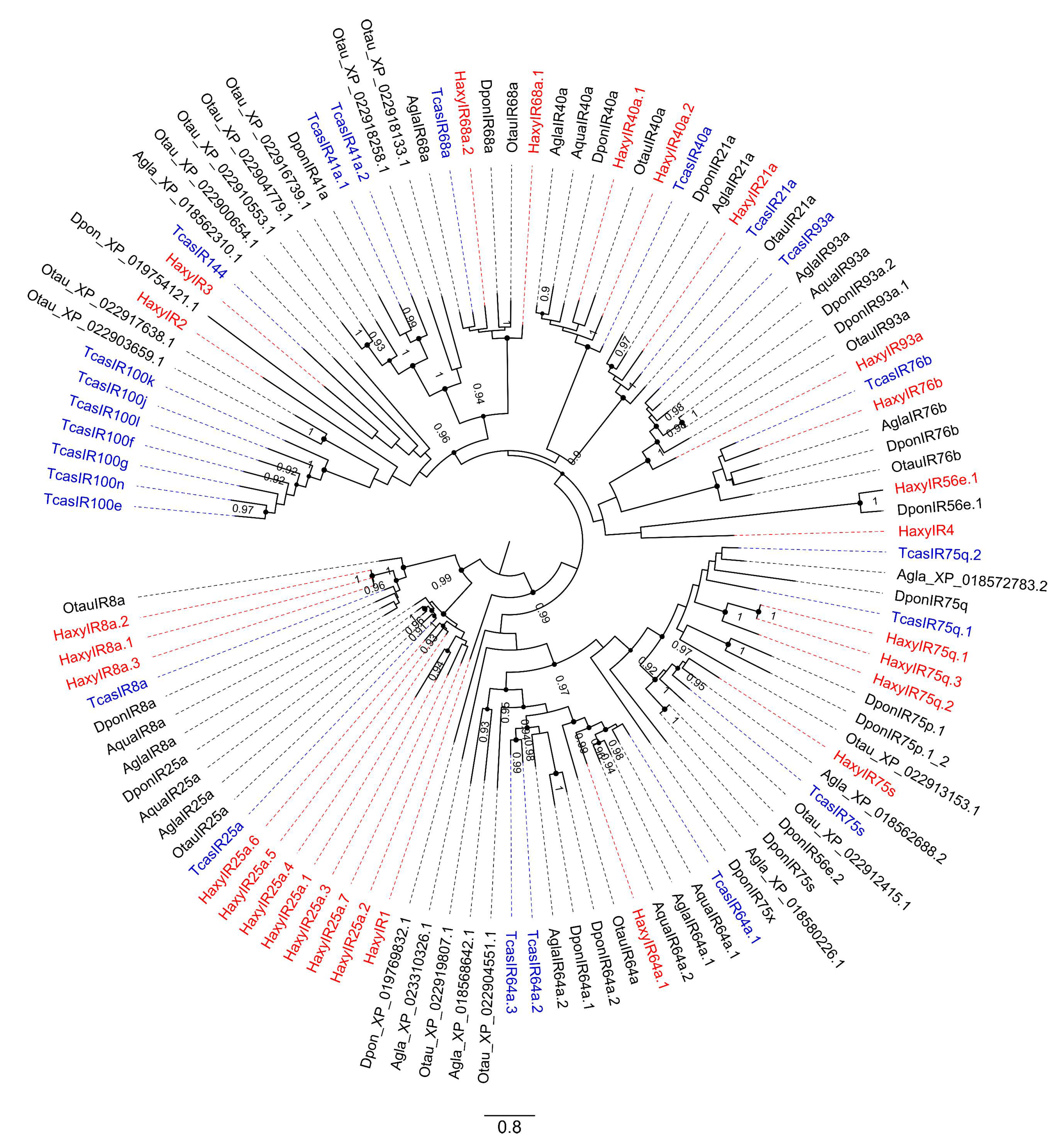 Insects 12 00209 g003