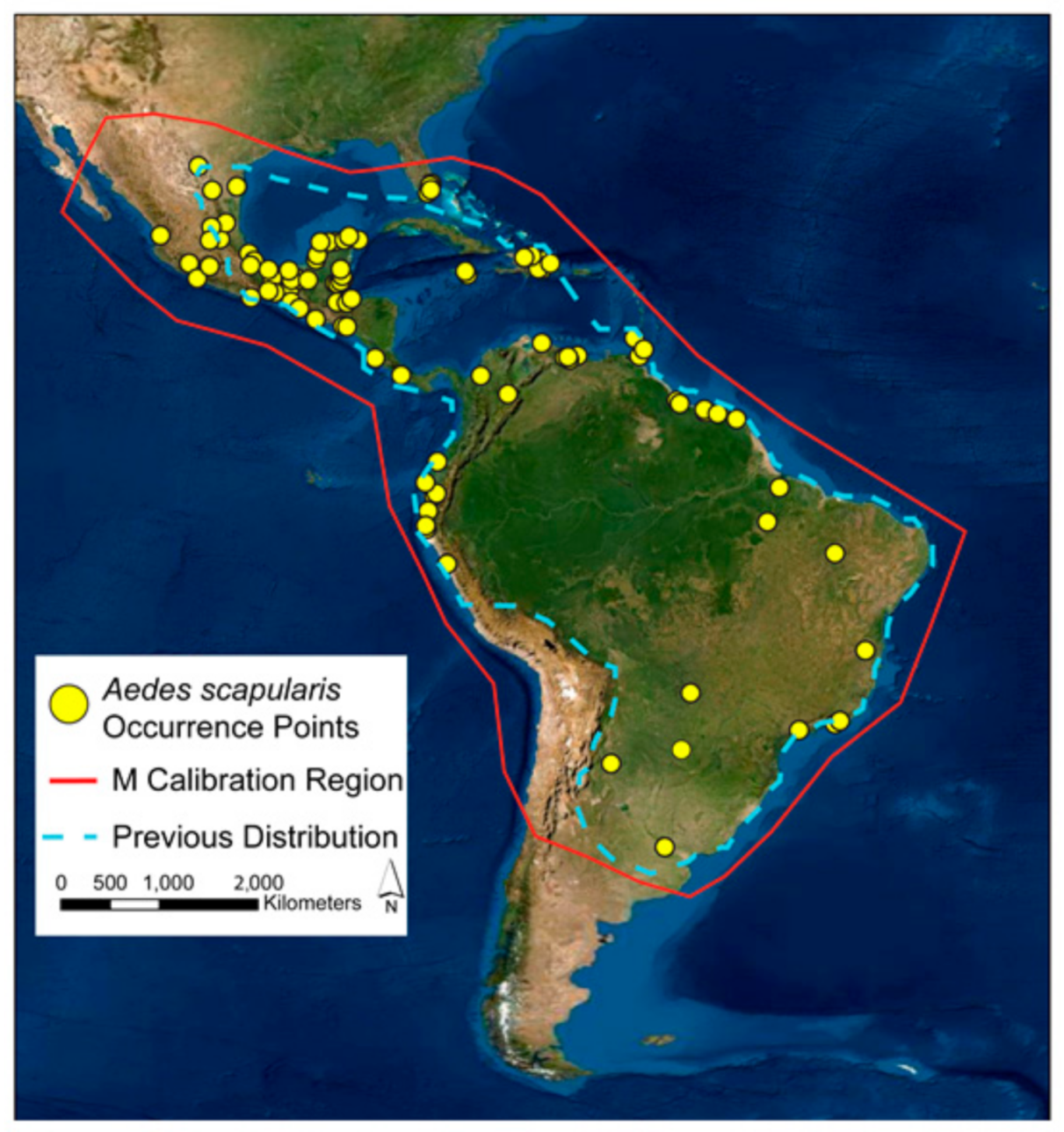 Insects 12 00213 g001