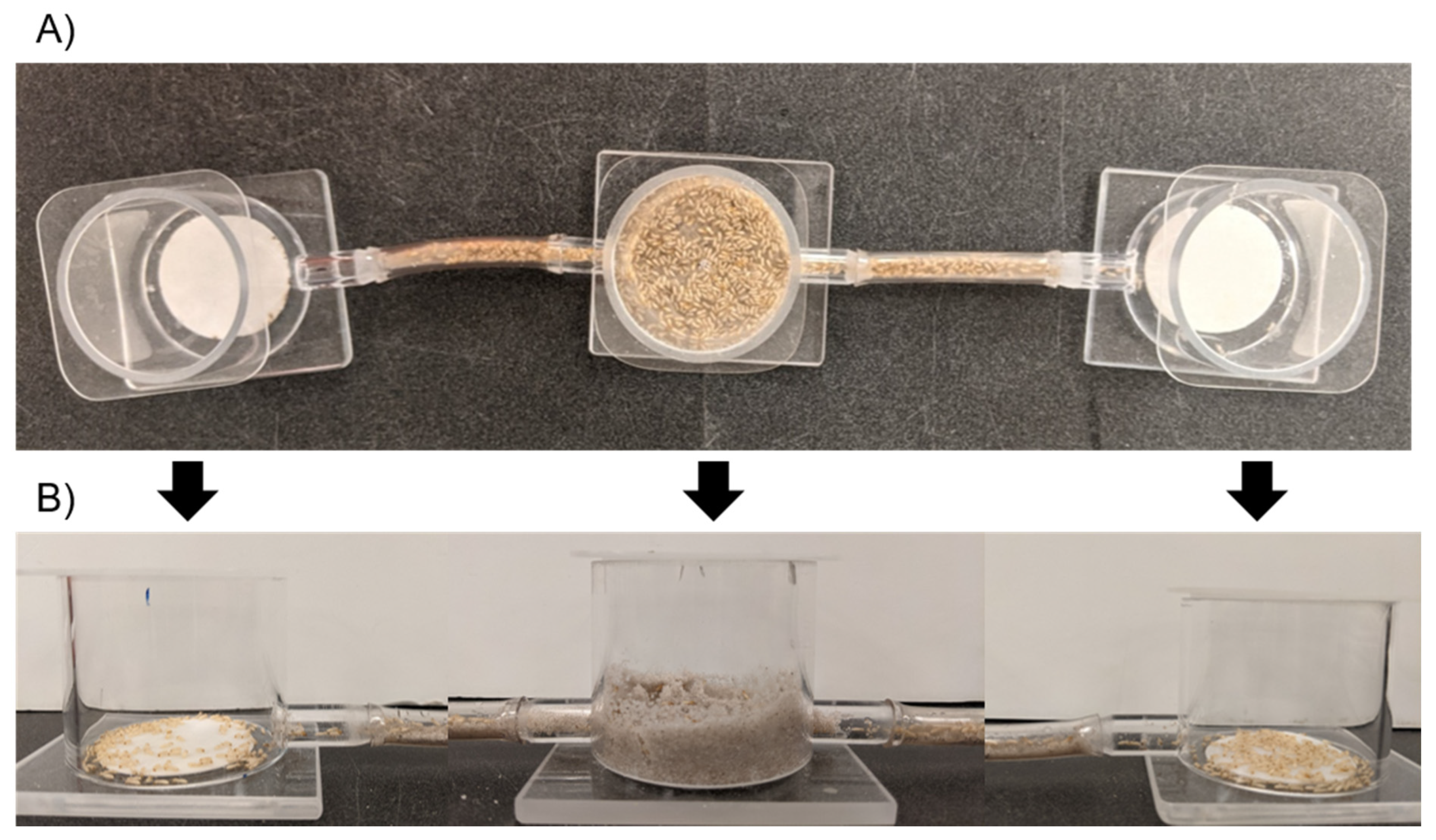 Insects 12 00218 g001