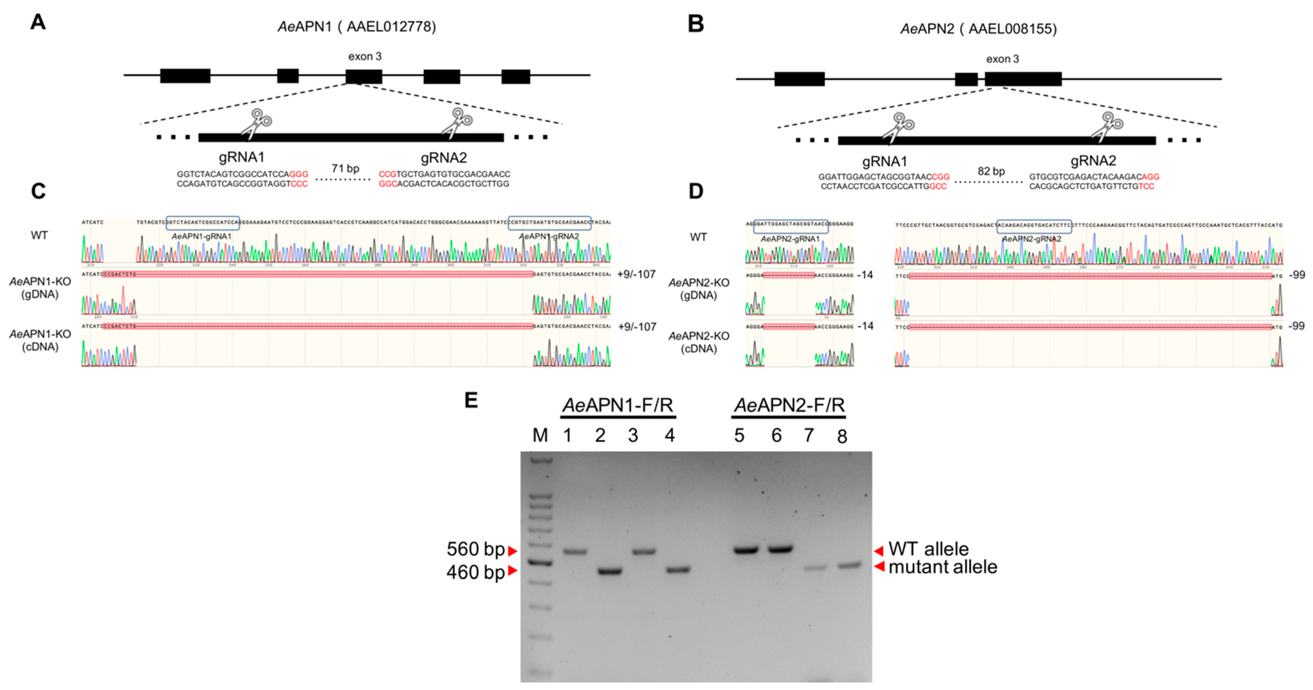 Insects 12 00223 g001 Insects 12 00223 g001