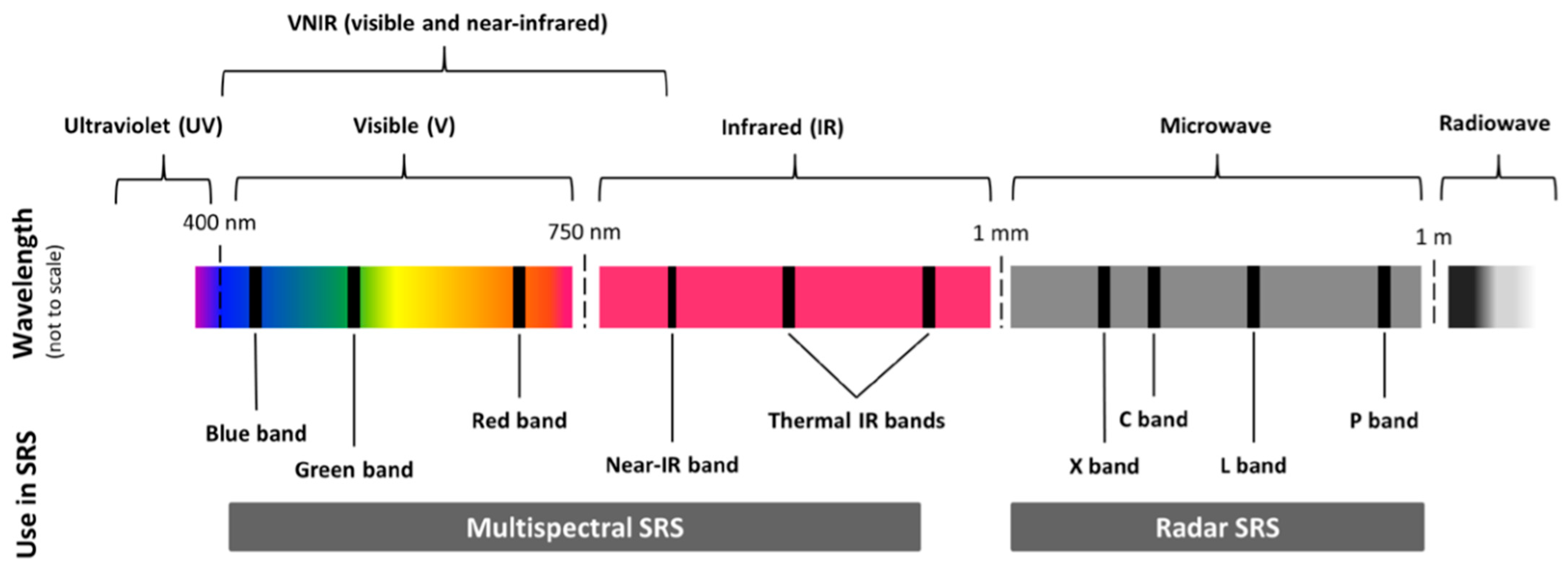 Insects 12 00233 g002 Insects 12 00233 g002