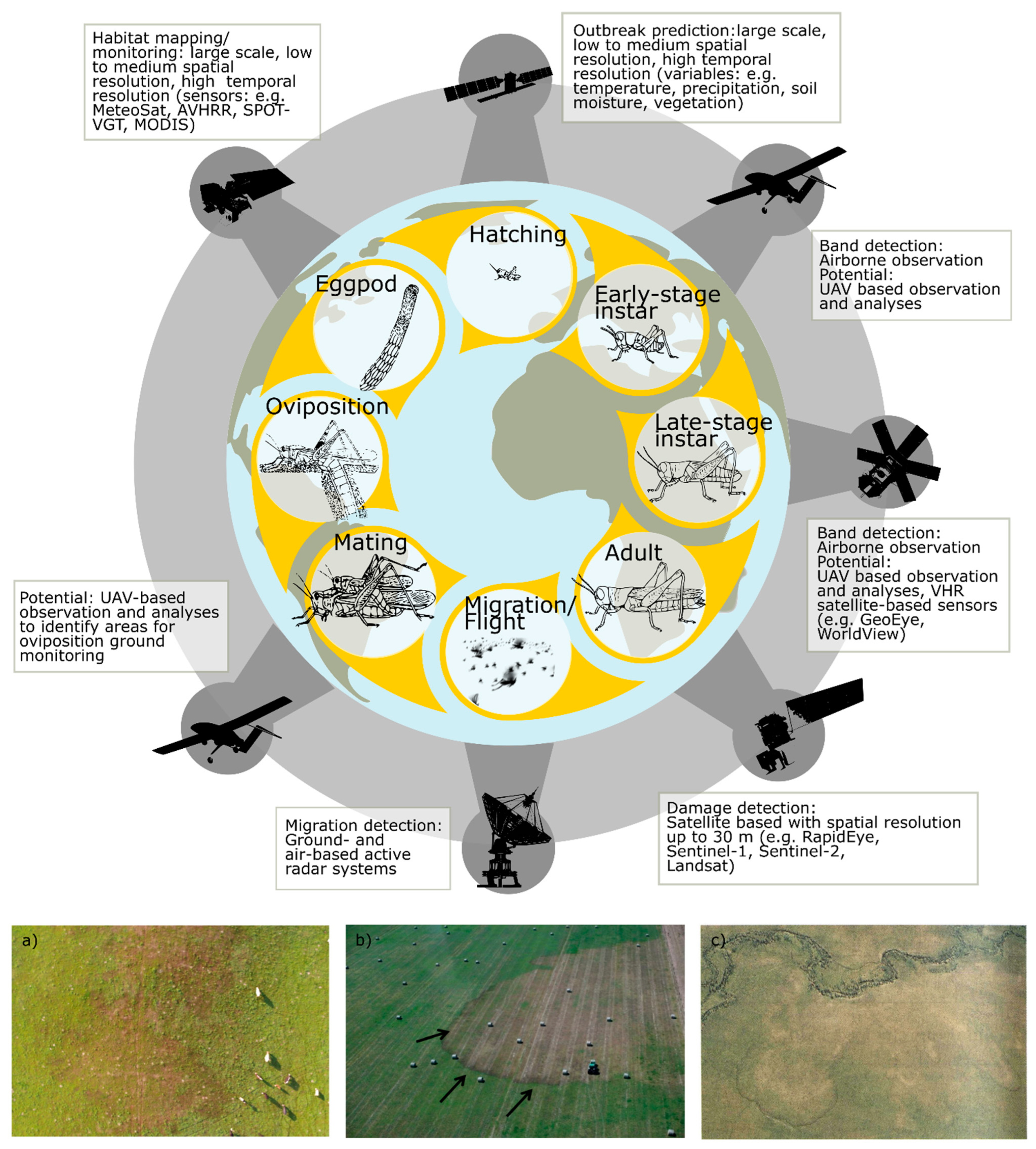 Insects 12 00233 g003 Insects 12 00233 g003