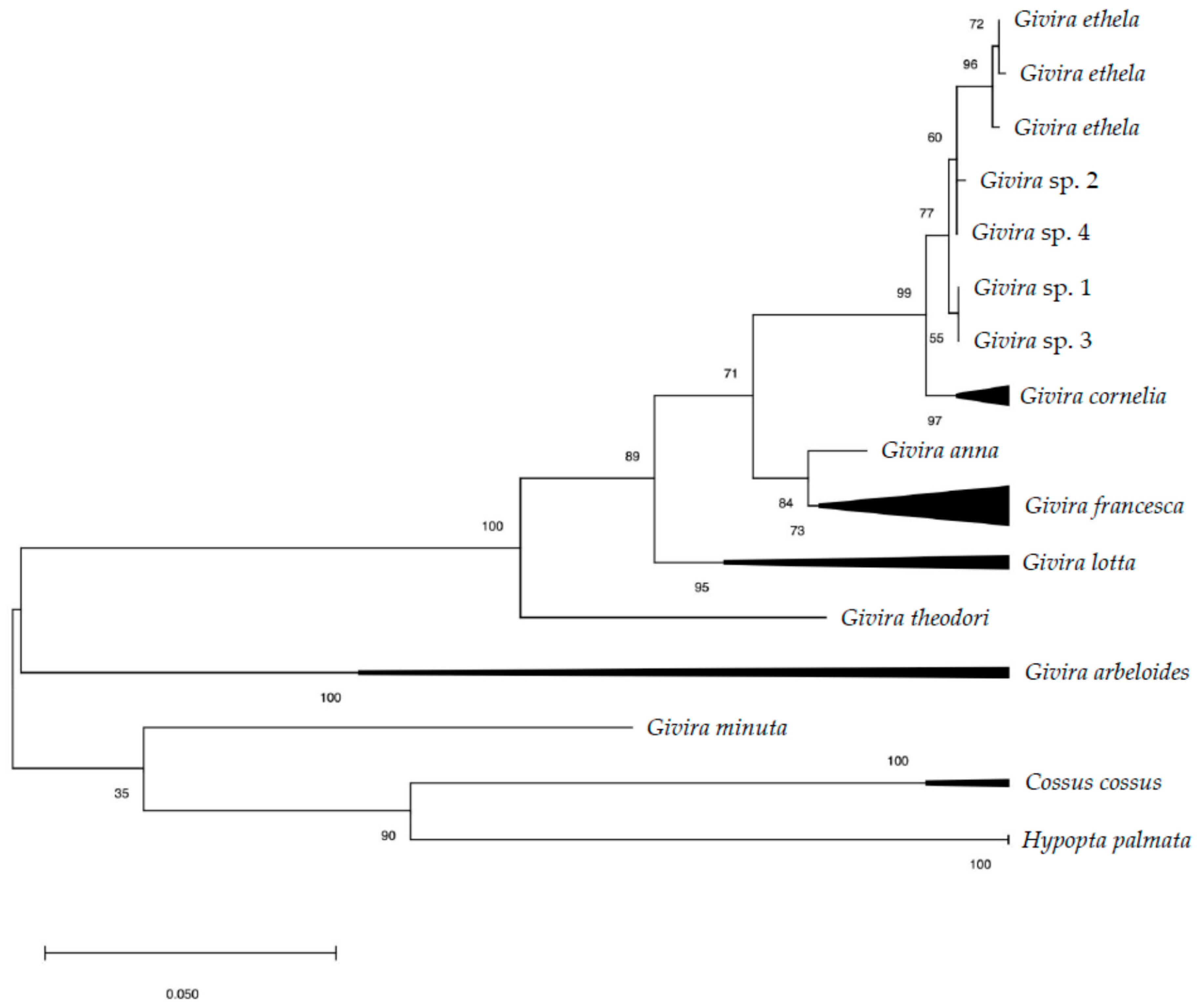 Insects 12 00239 g001