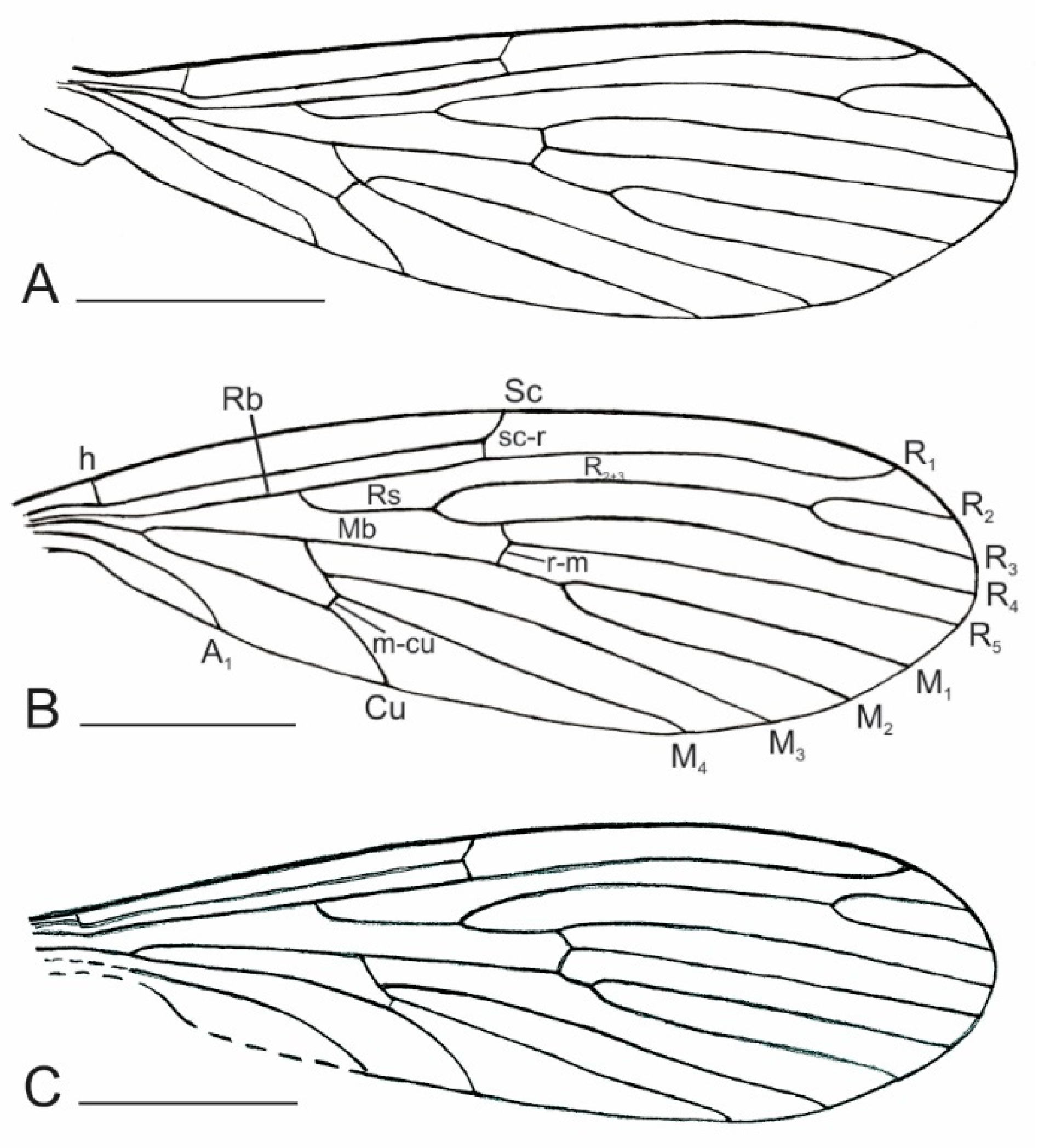Insects 12 00247 g004