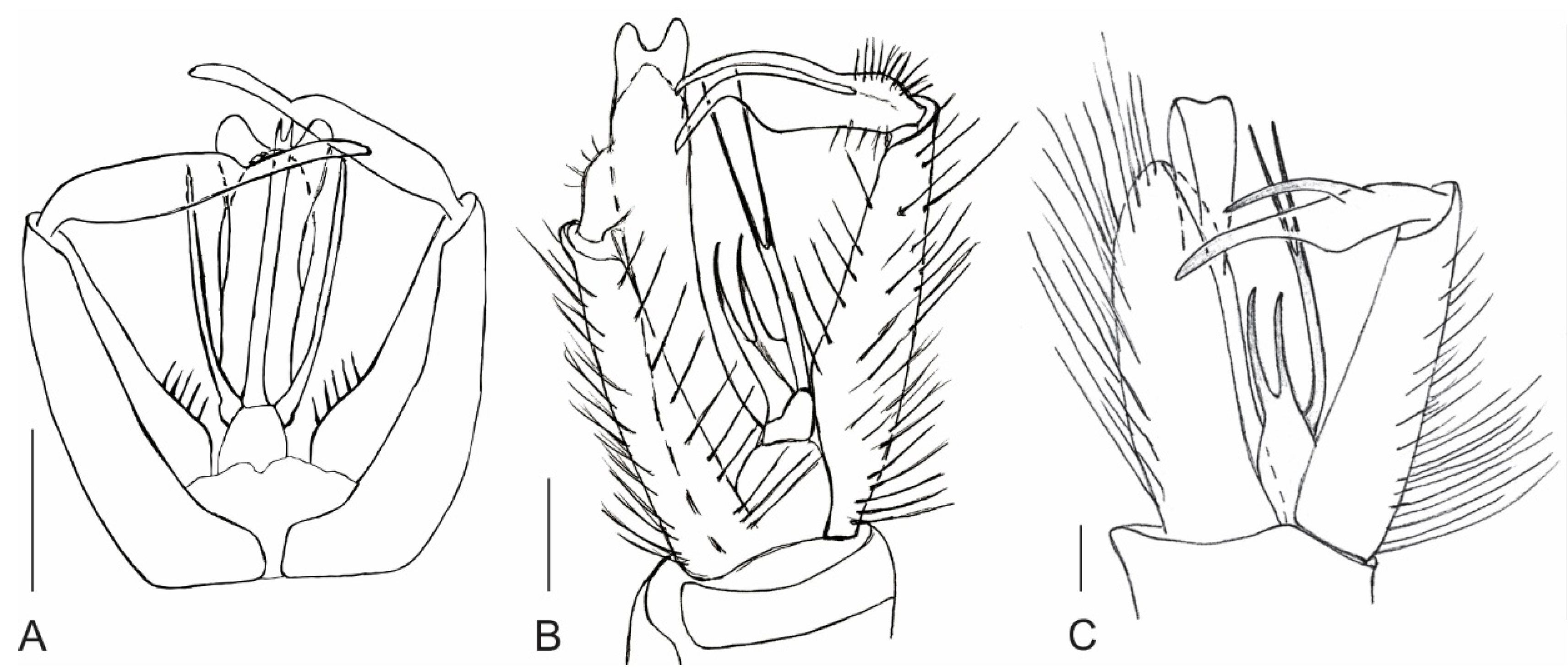 Insects 12 00247 g005