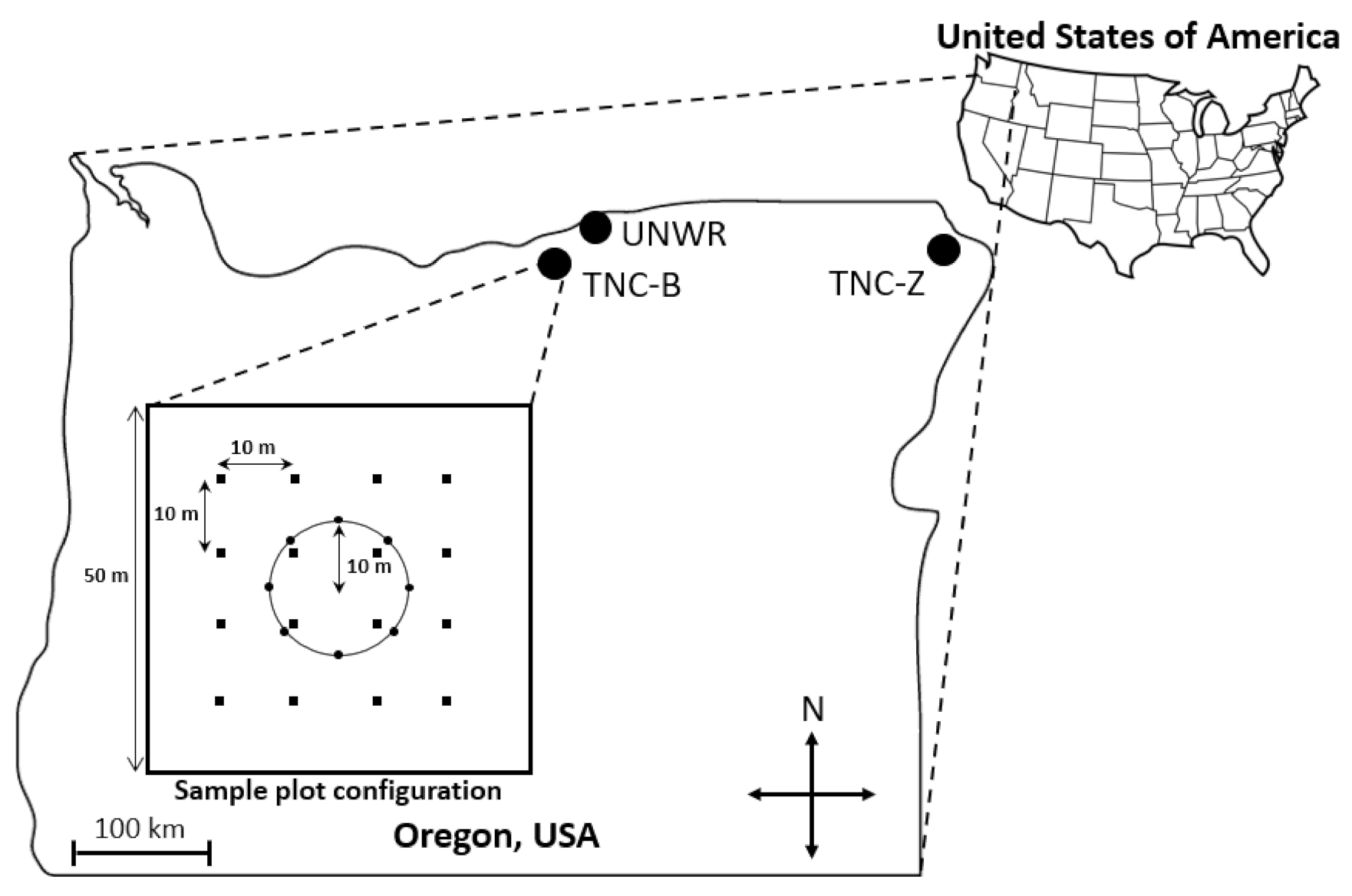 Insects 12 00249 g001