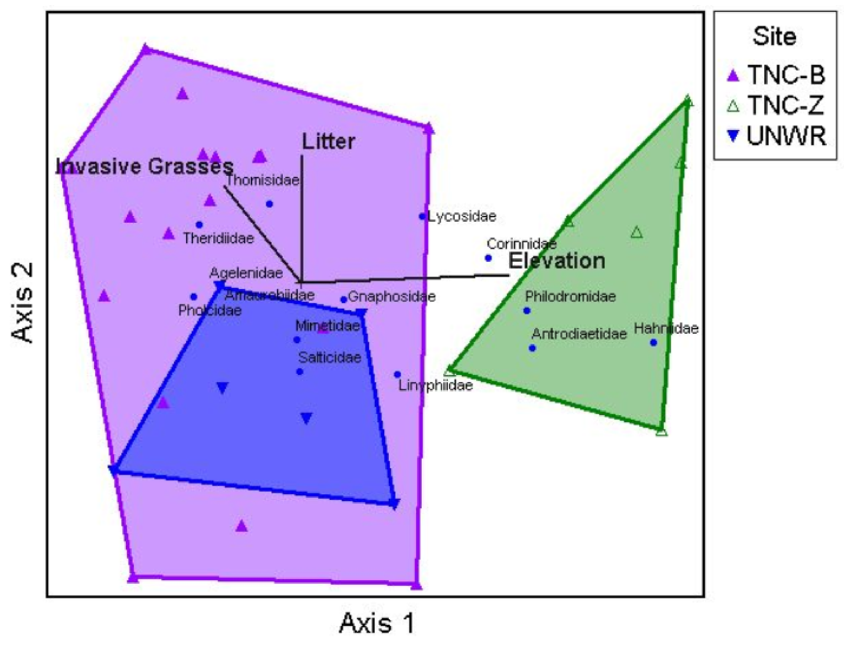 Insects 12 00249 g002