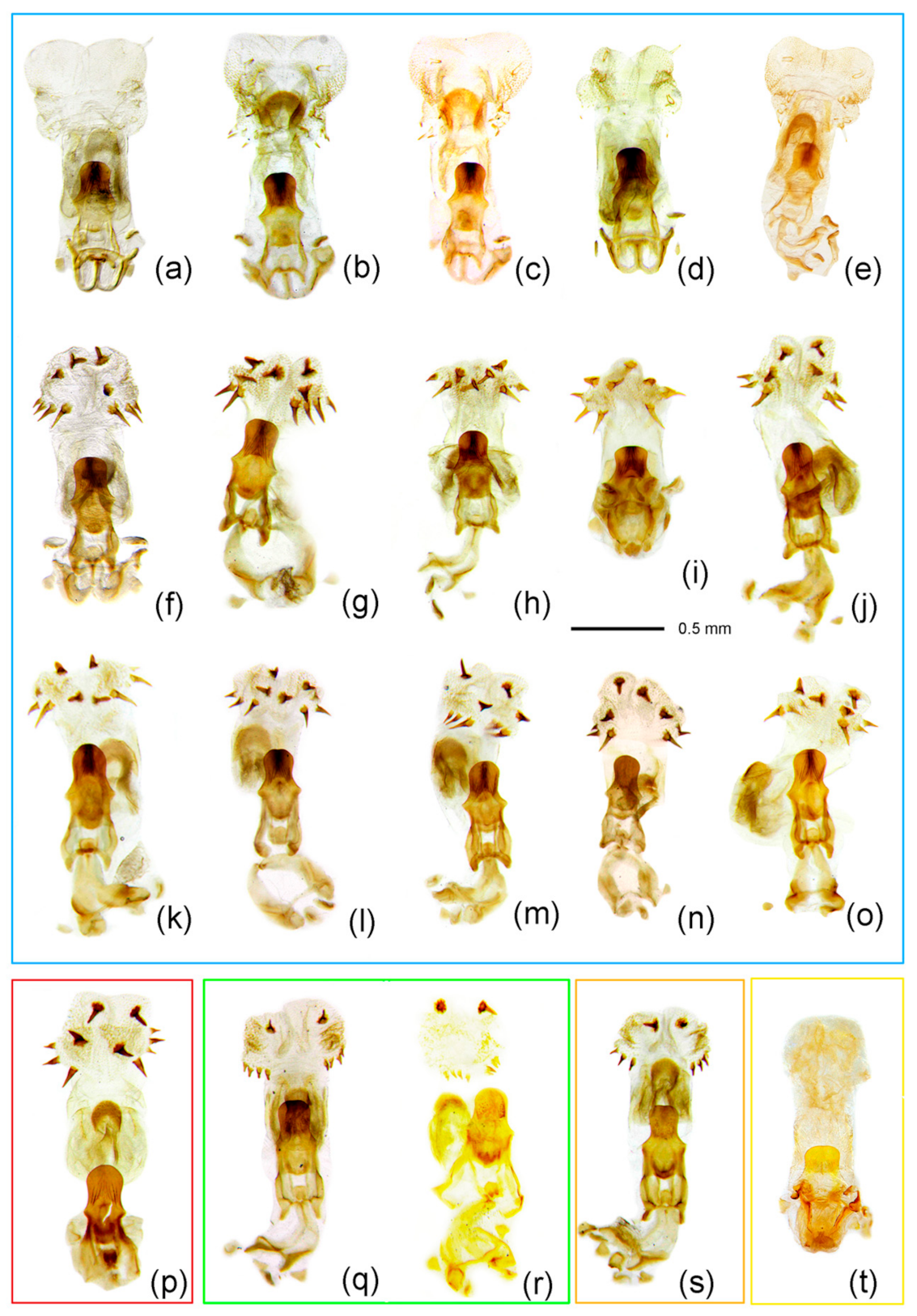 Insects 12 00251 g003