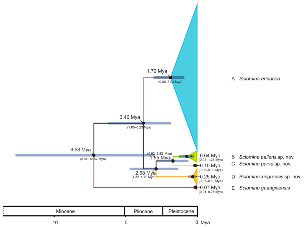 Insects 12 00251 g004