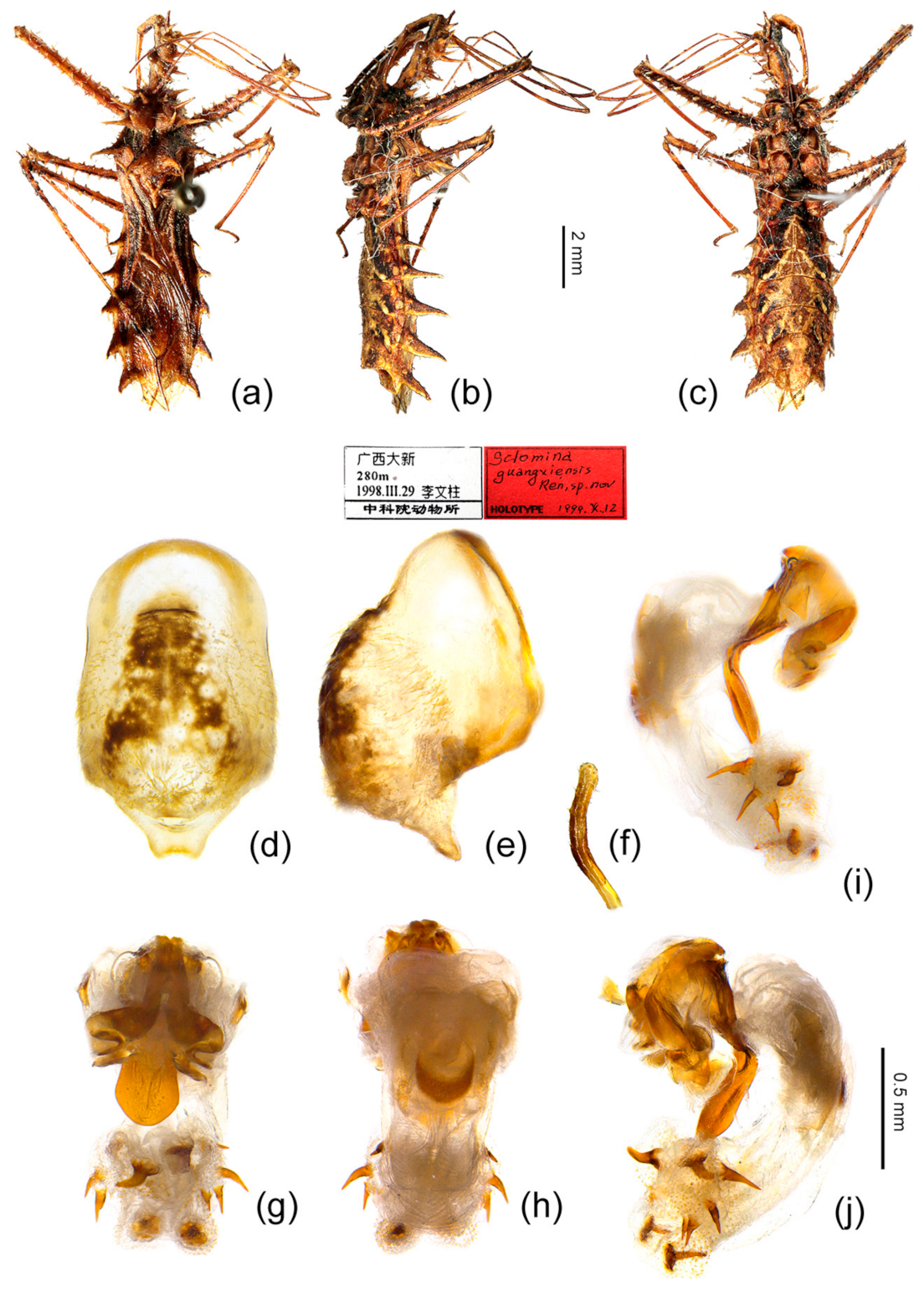 Insects 12 00251 g008