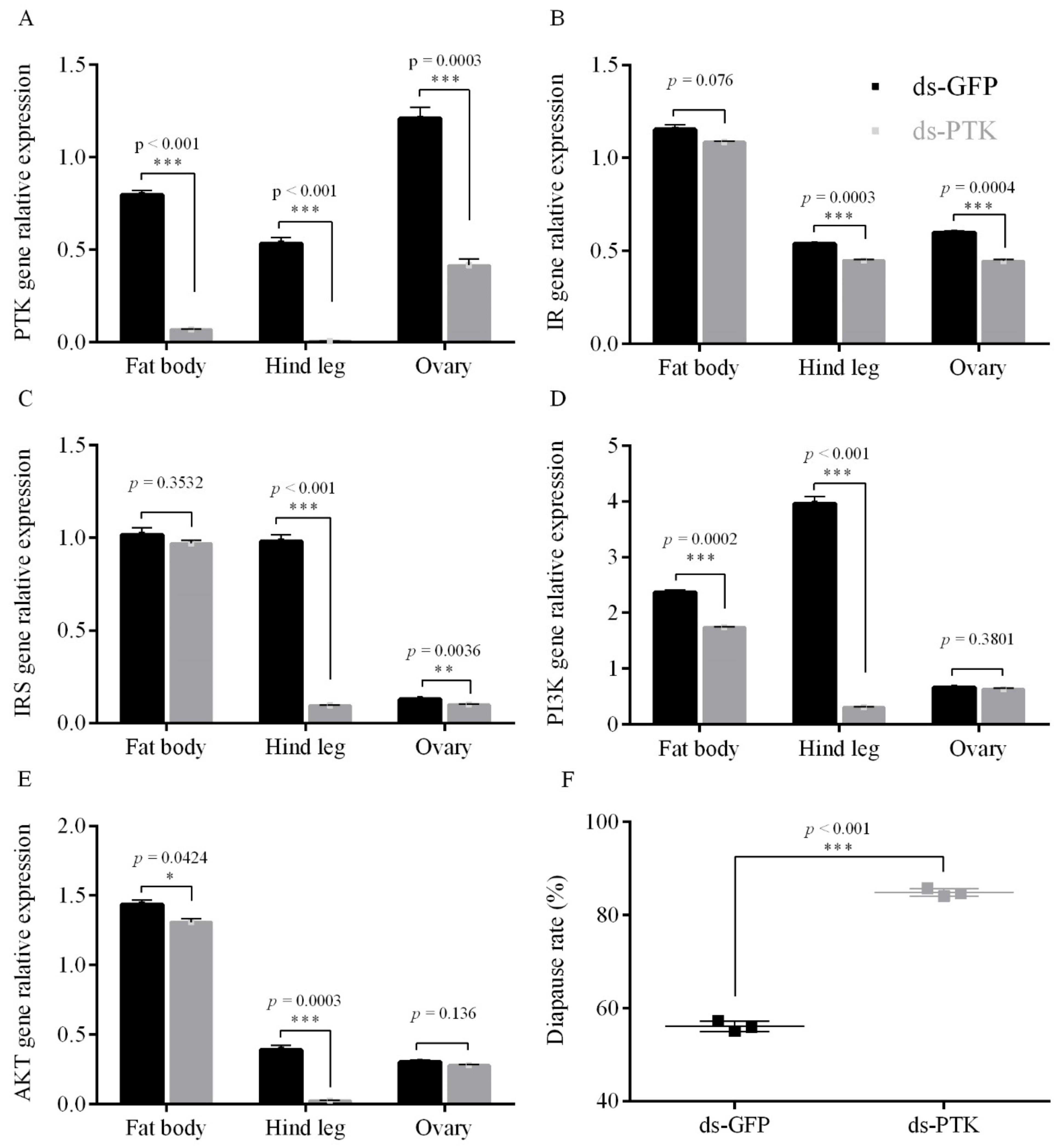 Insects 12 00253 g003