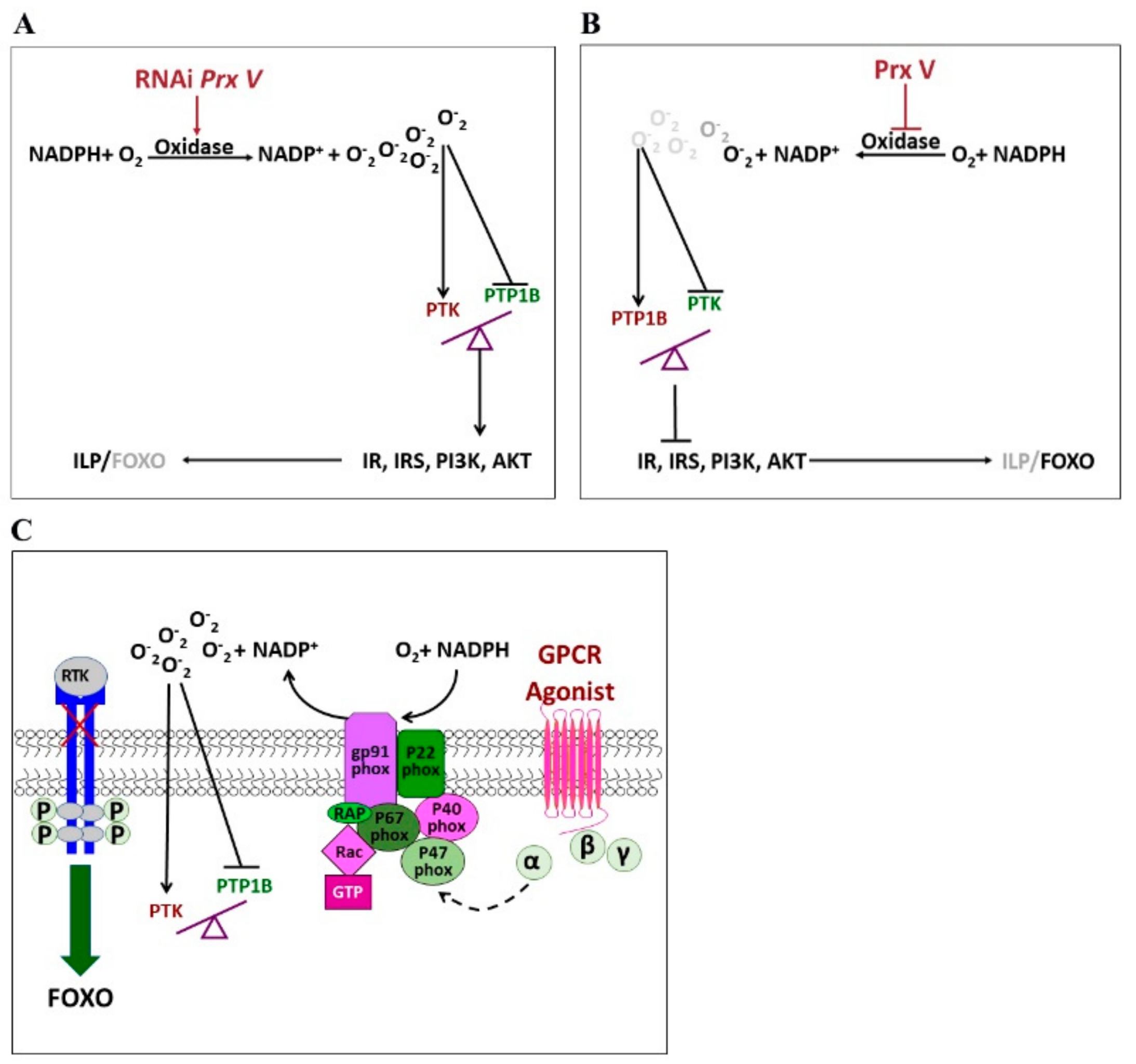 Insects 12 00253 g006