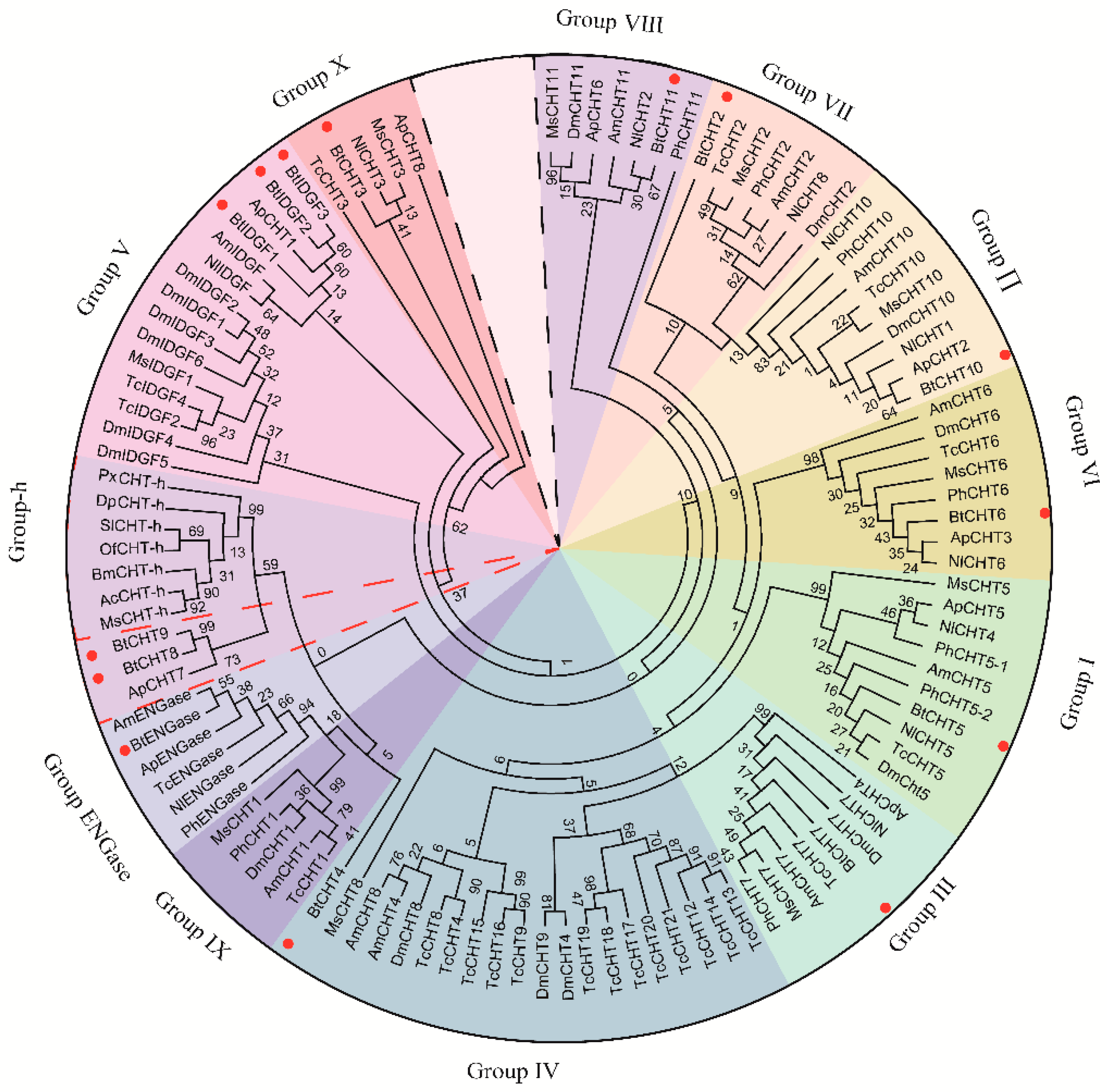 Insects 12 00254 g001
