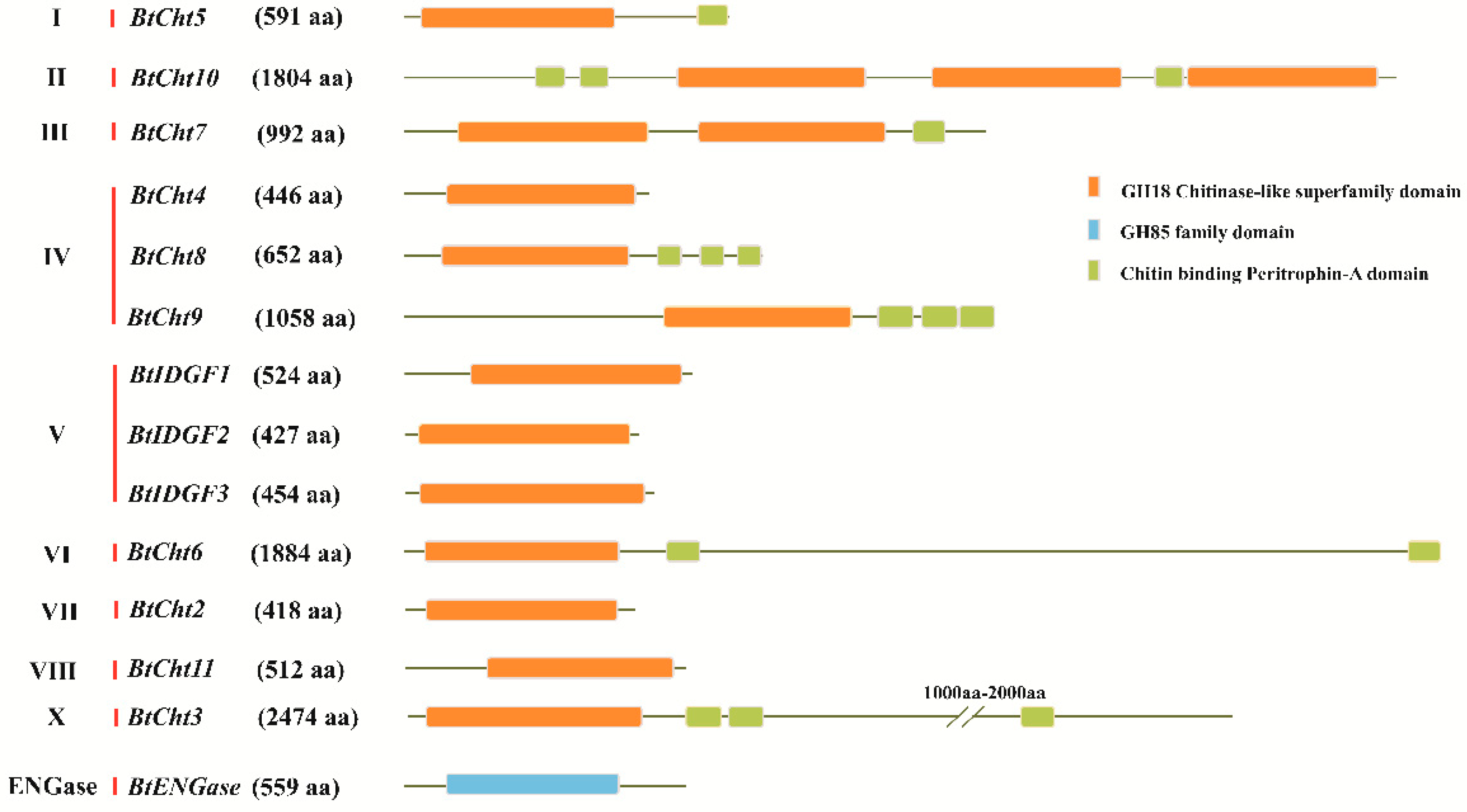 Insects 12 00254 g002