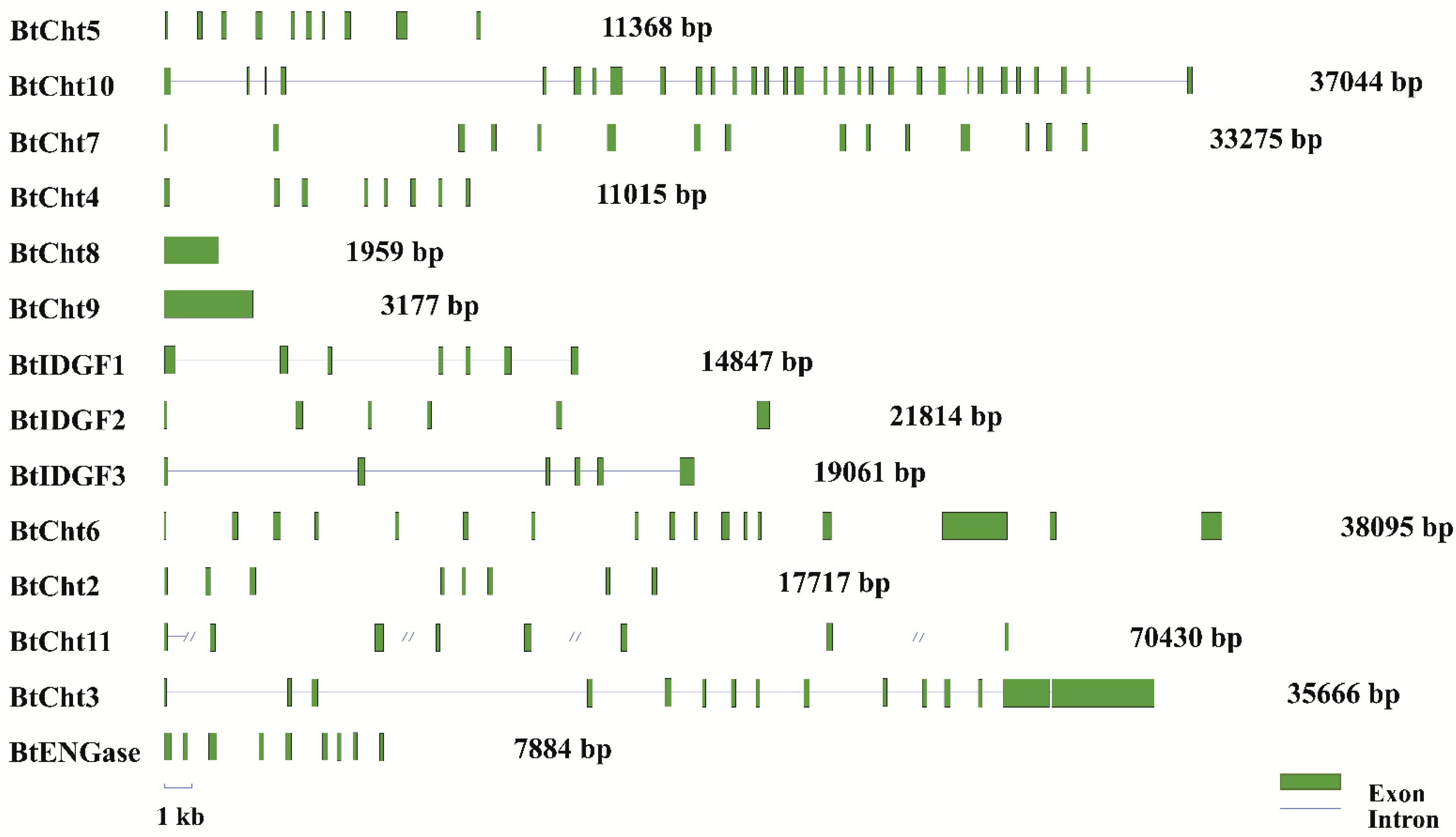 Insects 12 00254 g004