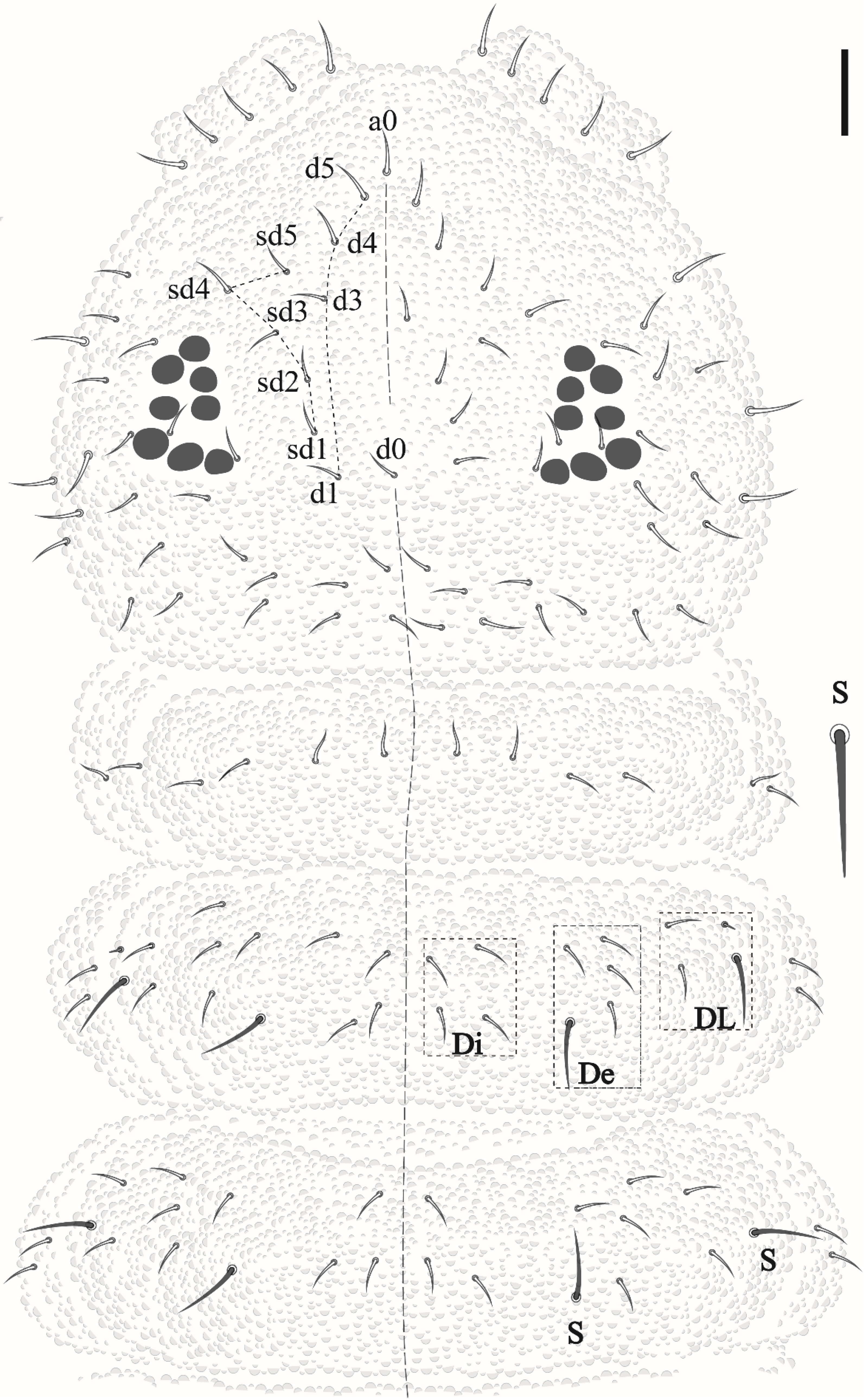 Insects 12 00268 g003