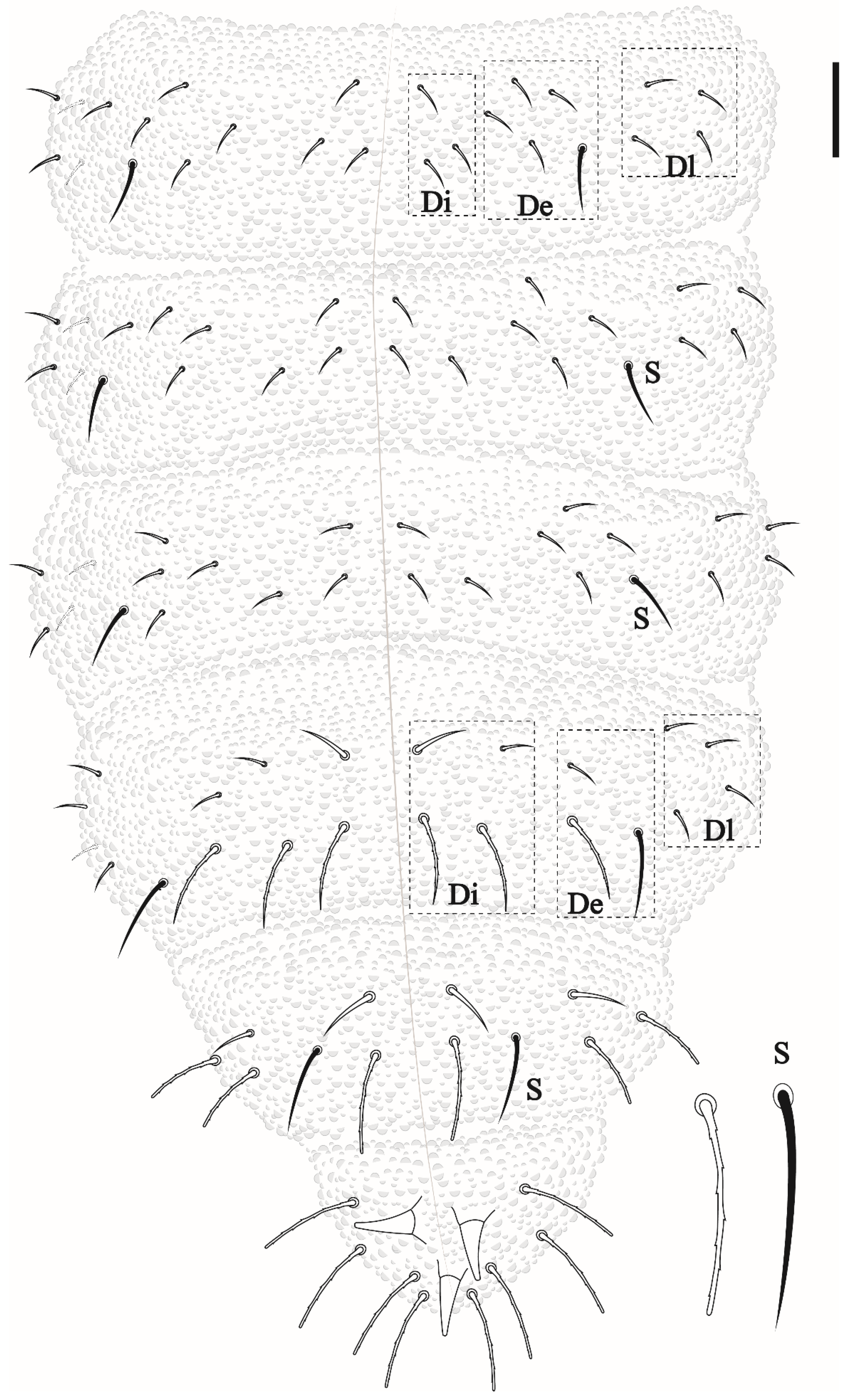 Insects 12 00268 g005