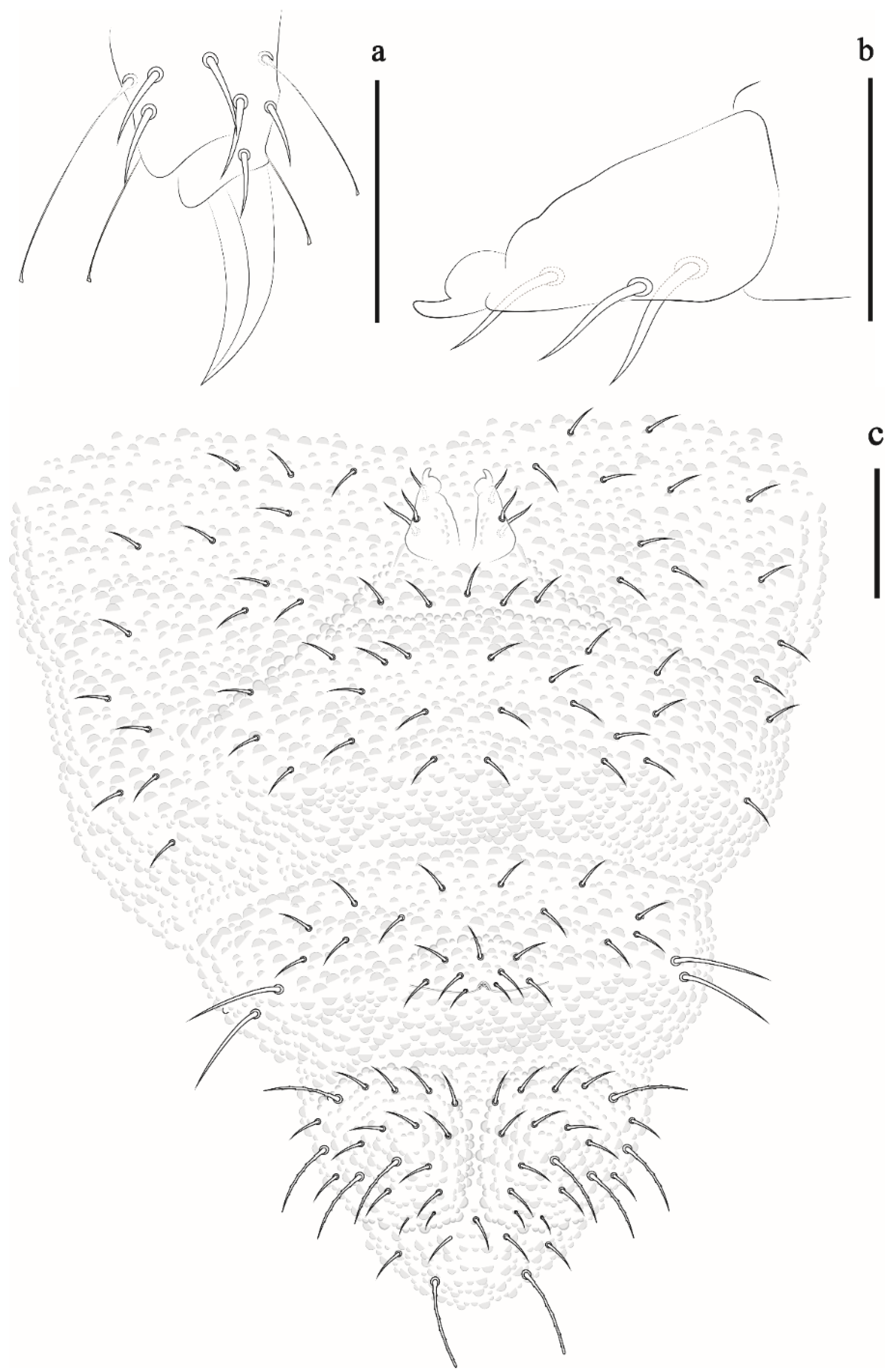 Insects 12 00268 g006