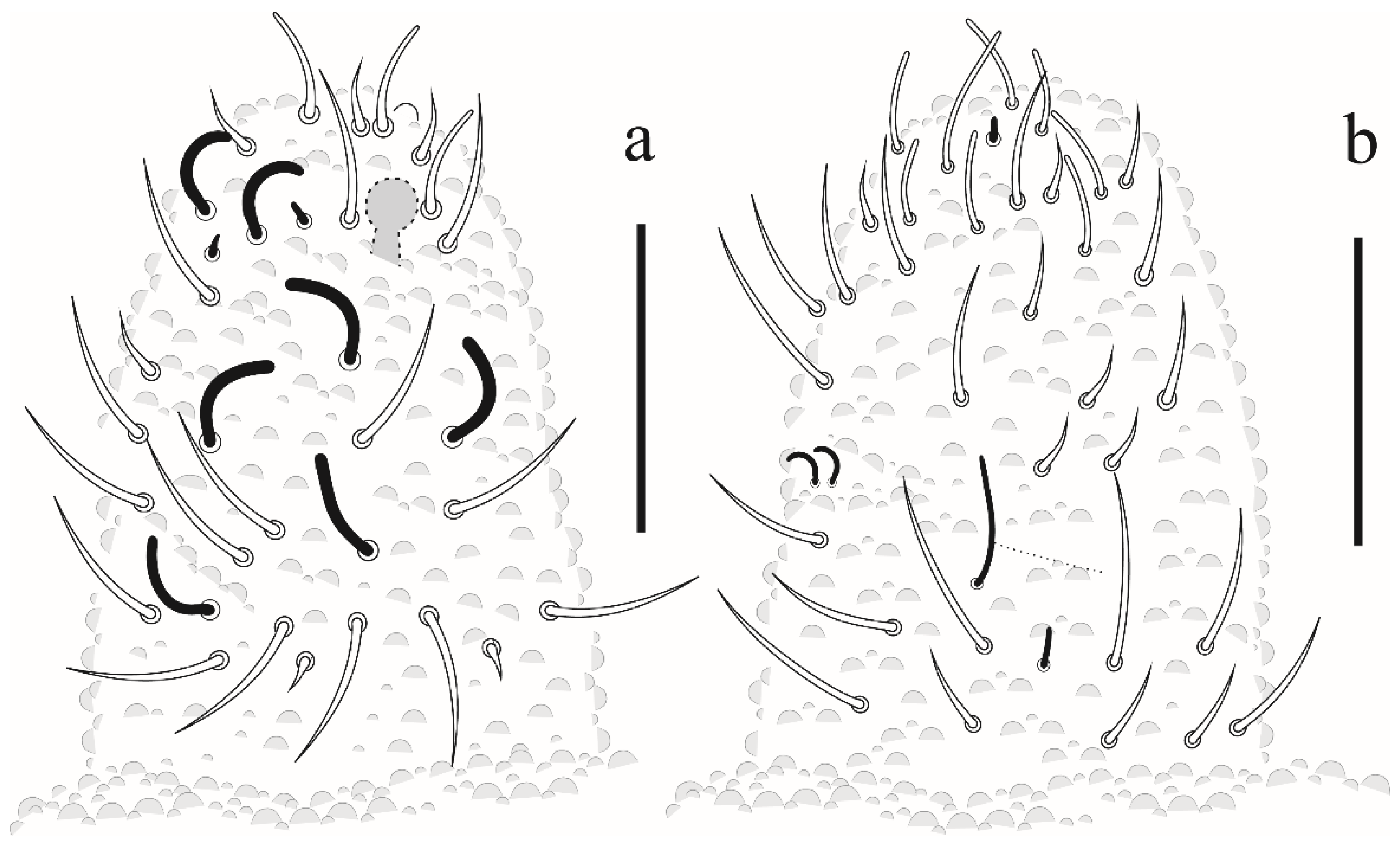 Insects 12 00268 g007