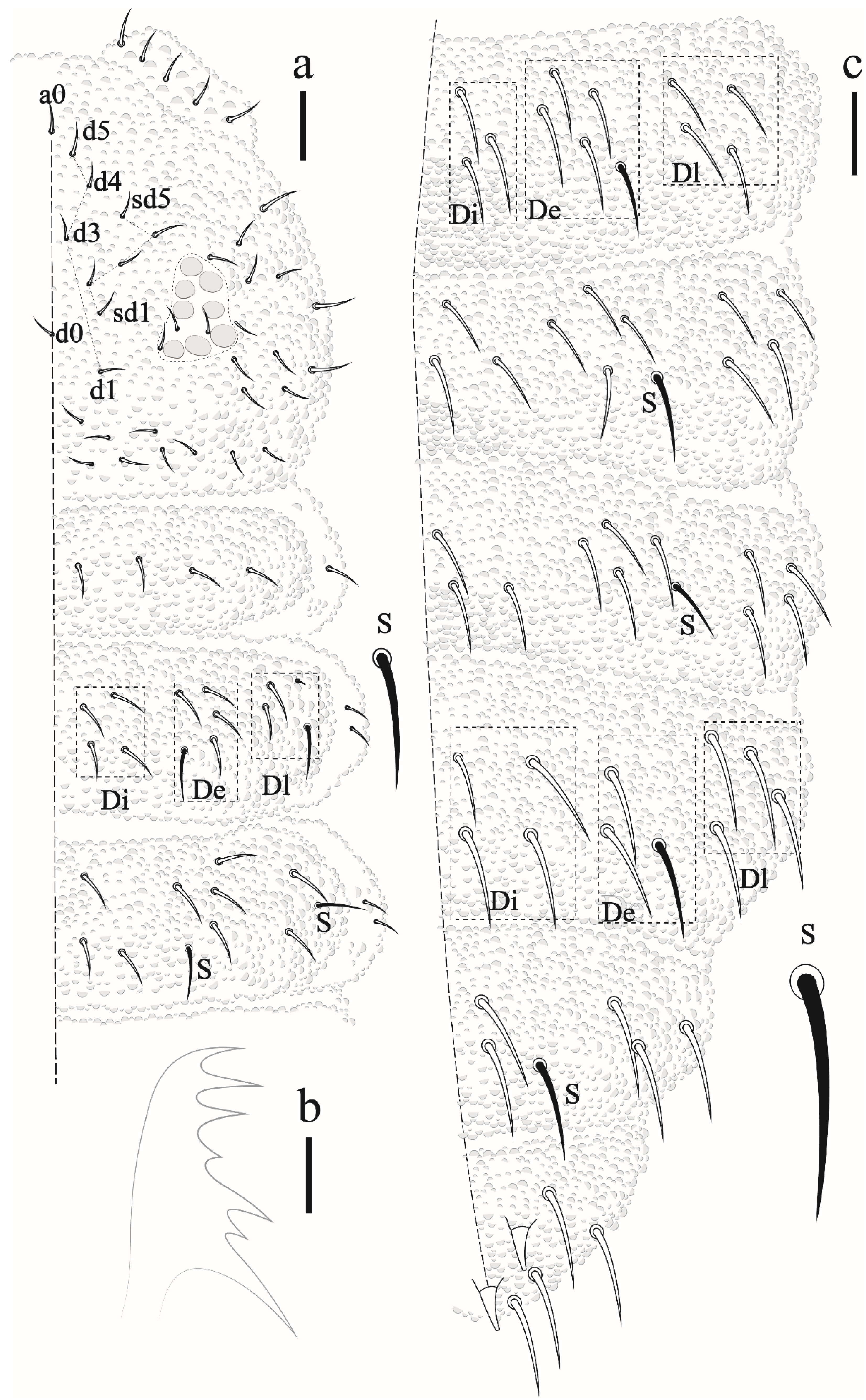Insects 12 00268 g008