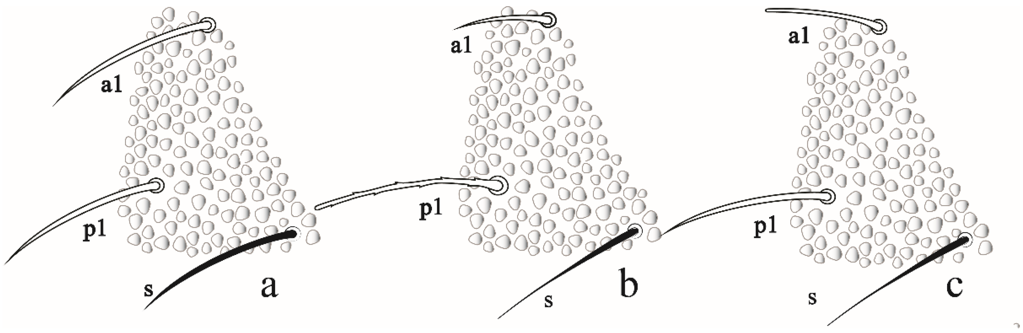 Insects 12 00268 g010