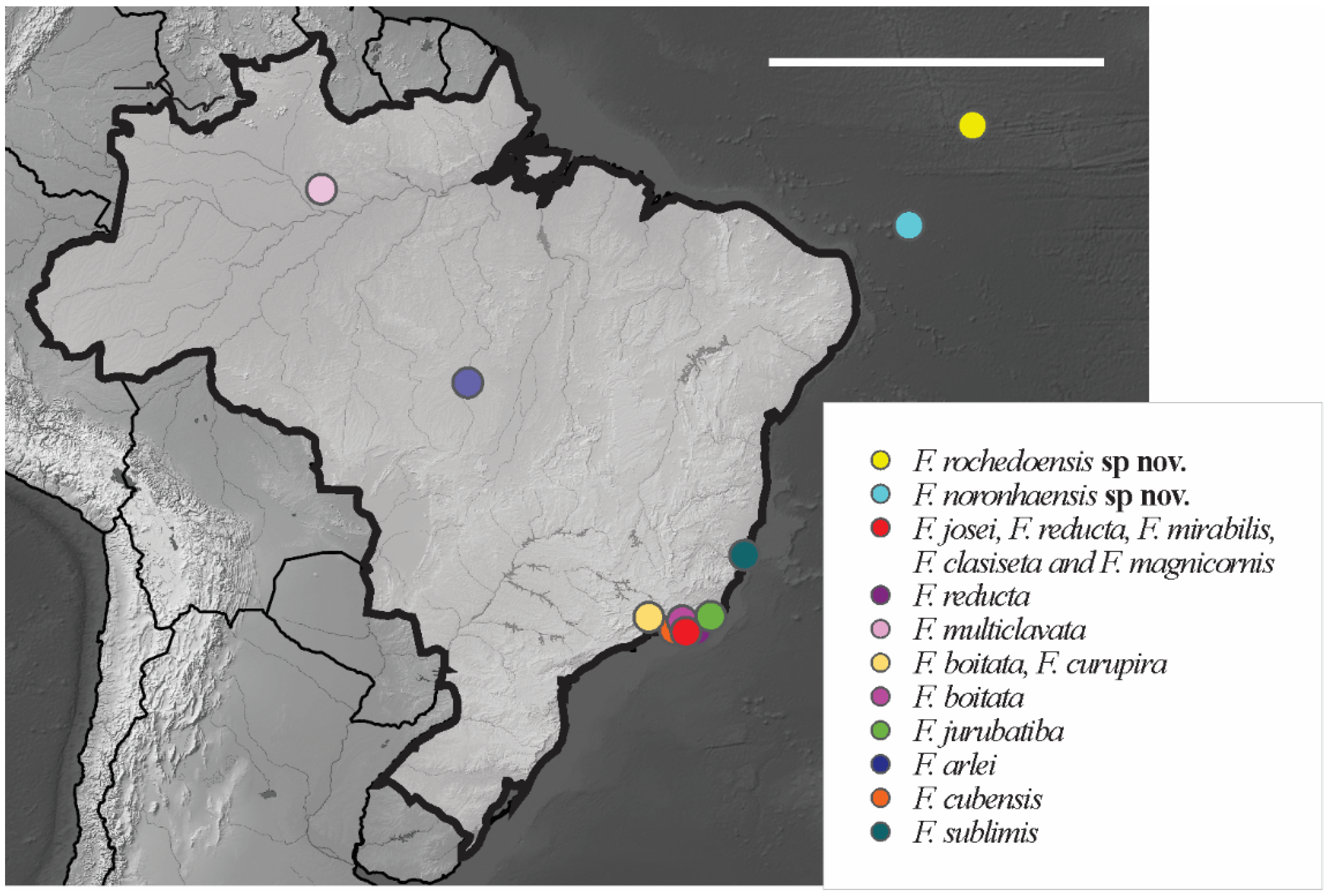 Insects 12 00268 g011