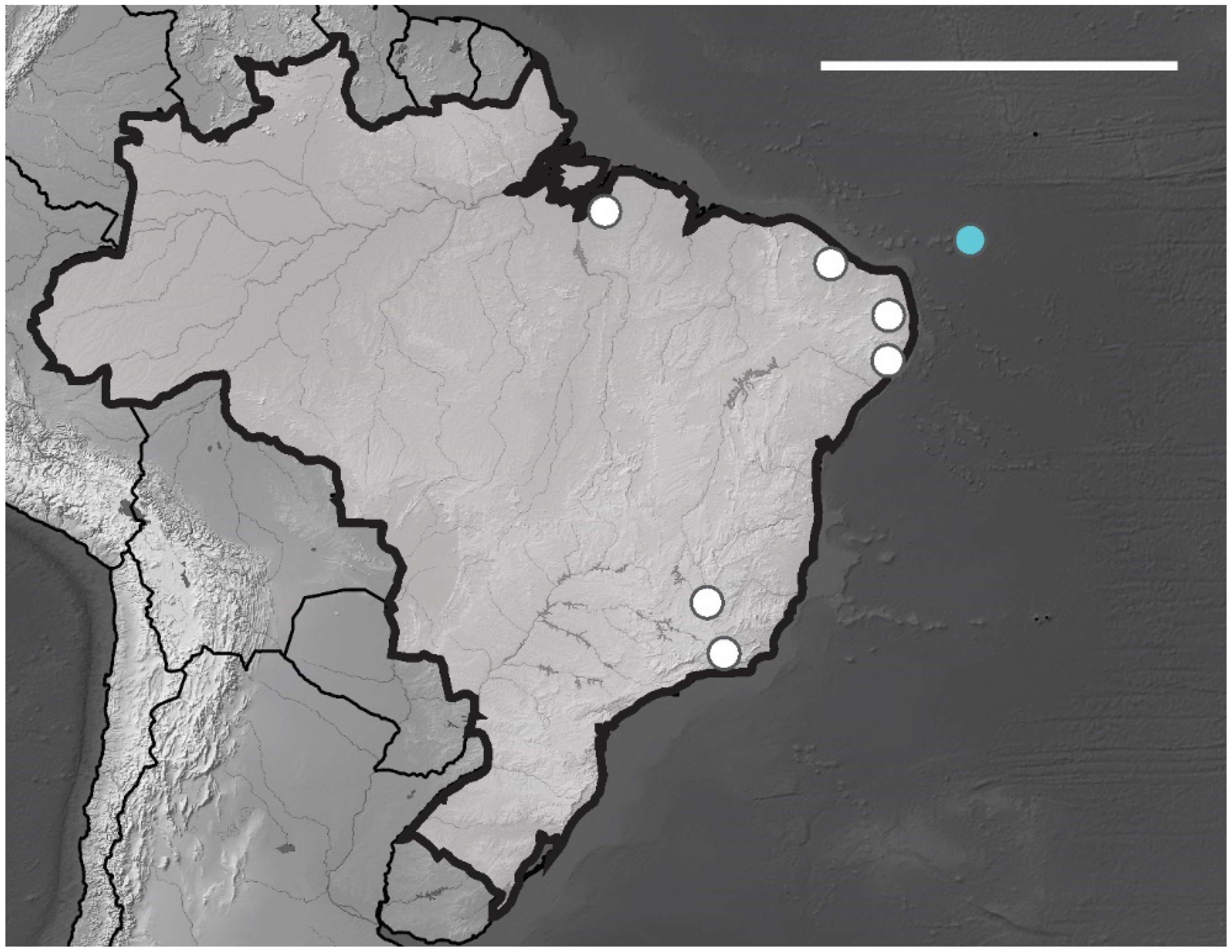 Insects 12 00268 g012