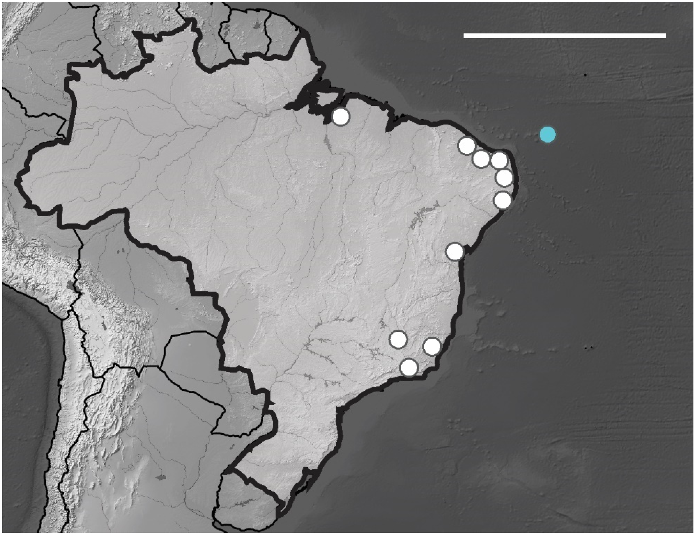 Insects 12 00268 g013