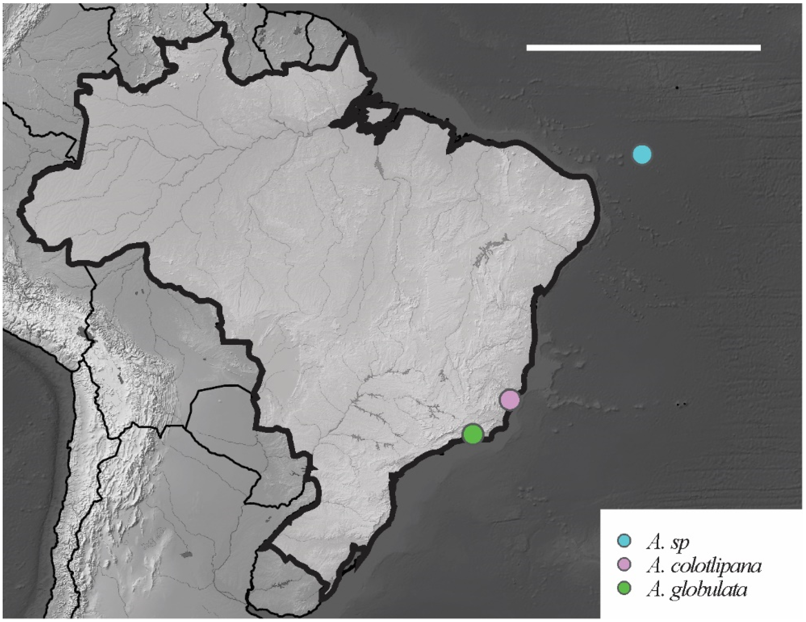 Insects 12 00268 g014