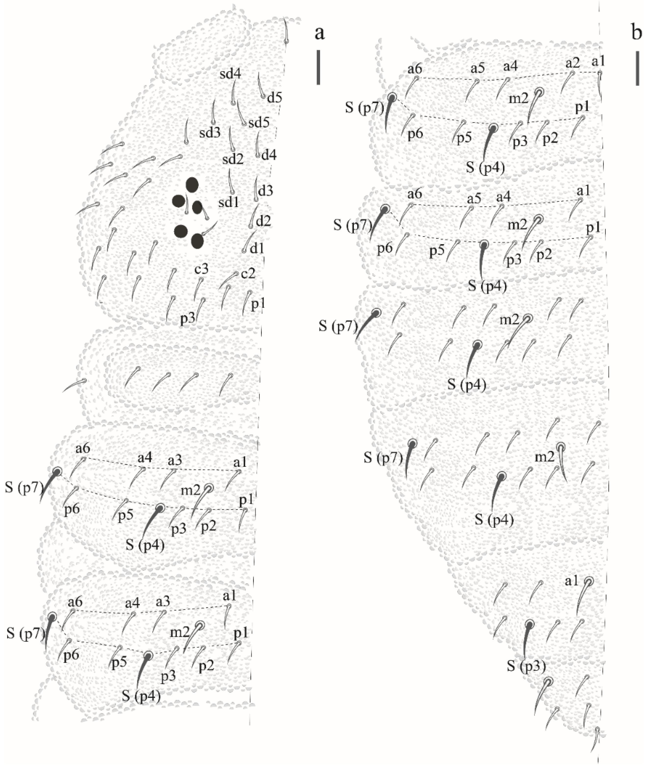 Insects 12 00268 g016